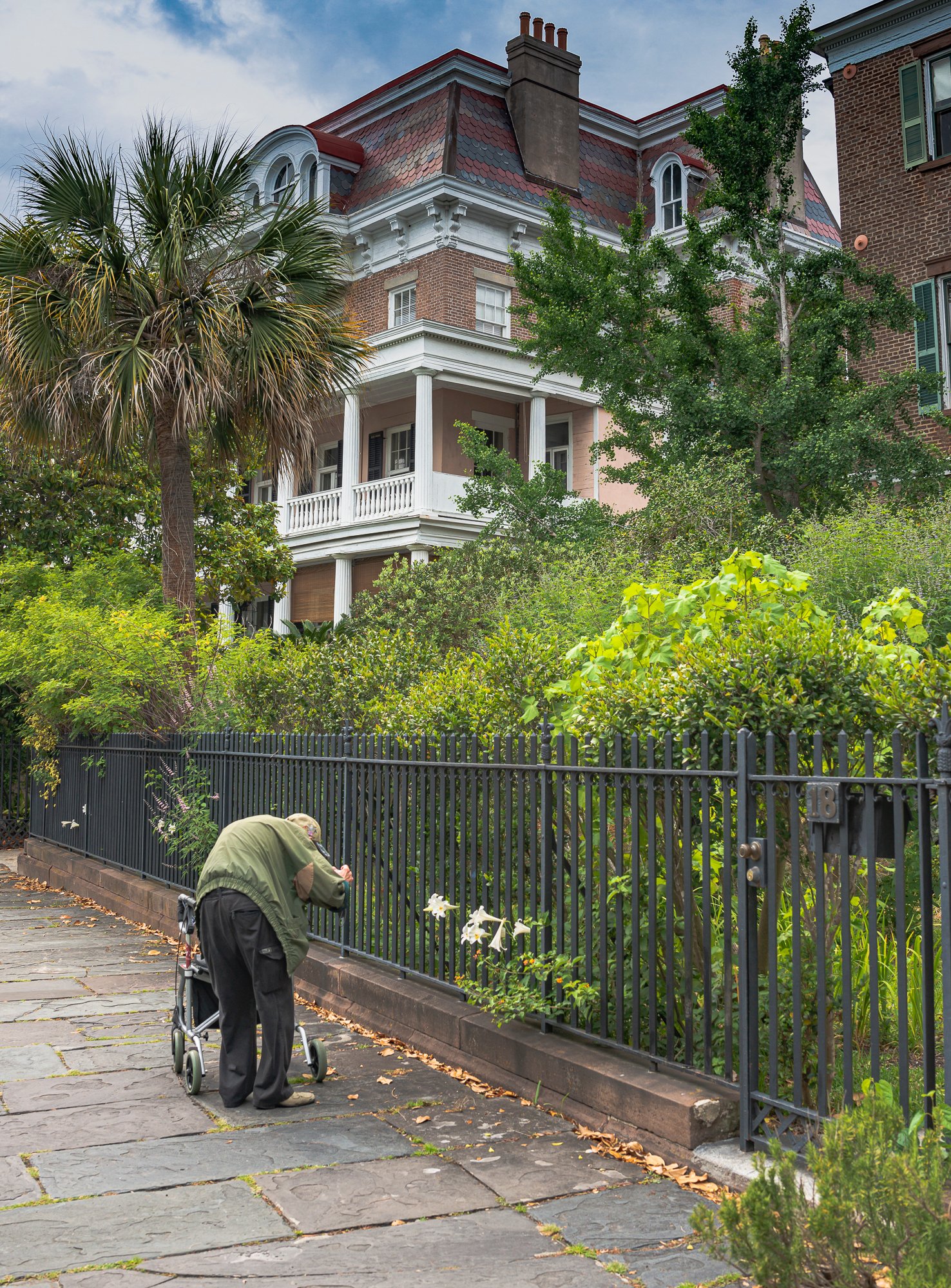 “Still Photographing”, 2012, Charleston, SC