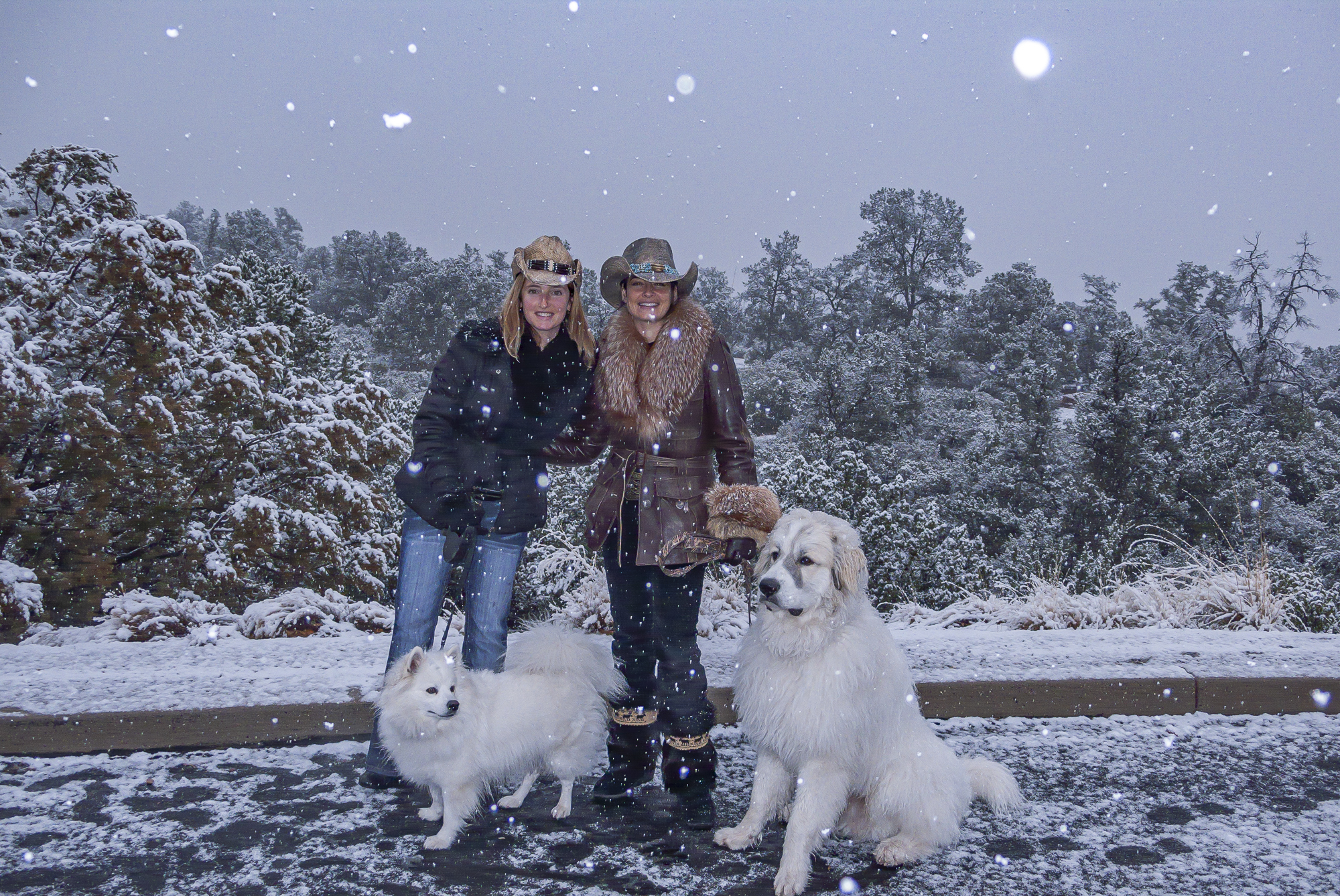 “Winter Portrait”, 2006, Cindy, Laura, Igloo & Zorro