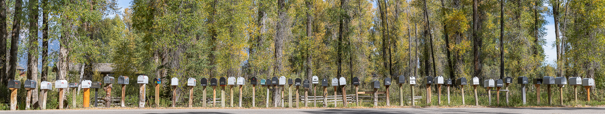 “The Line-up”, 2021, Jackson Hole, WY