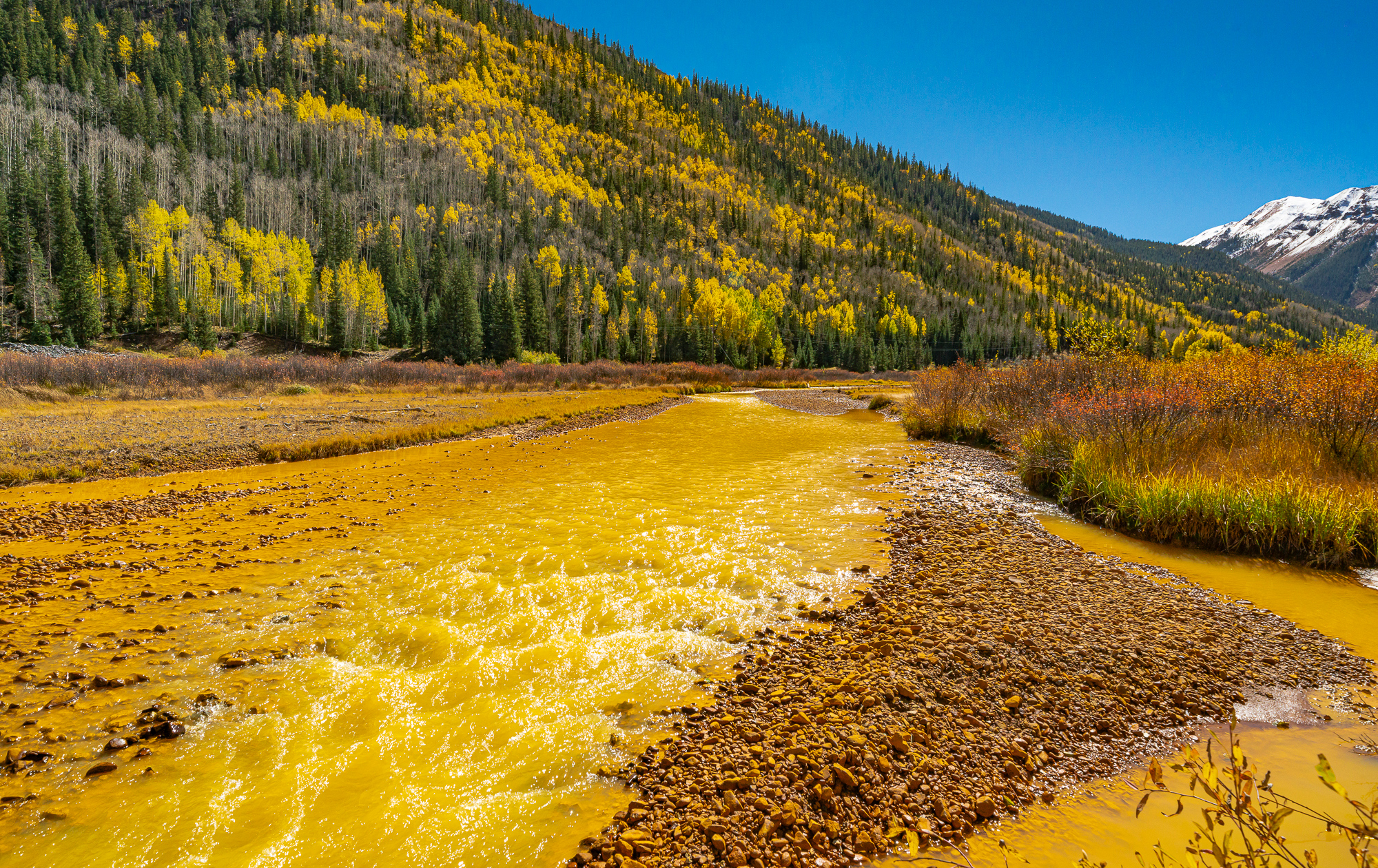“Yellow Days of the Uncompahgre”, 2017, Ouray, CO
