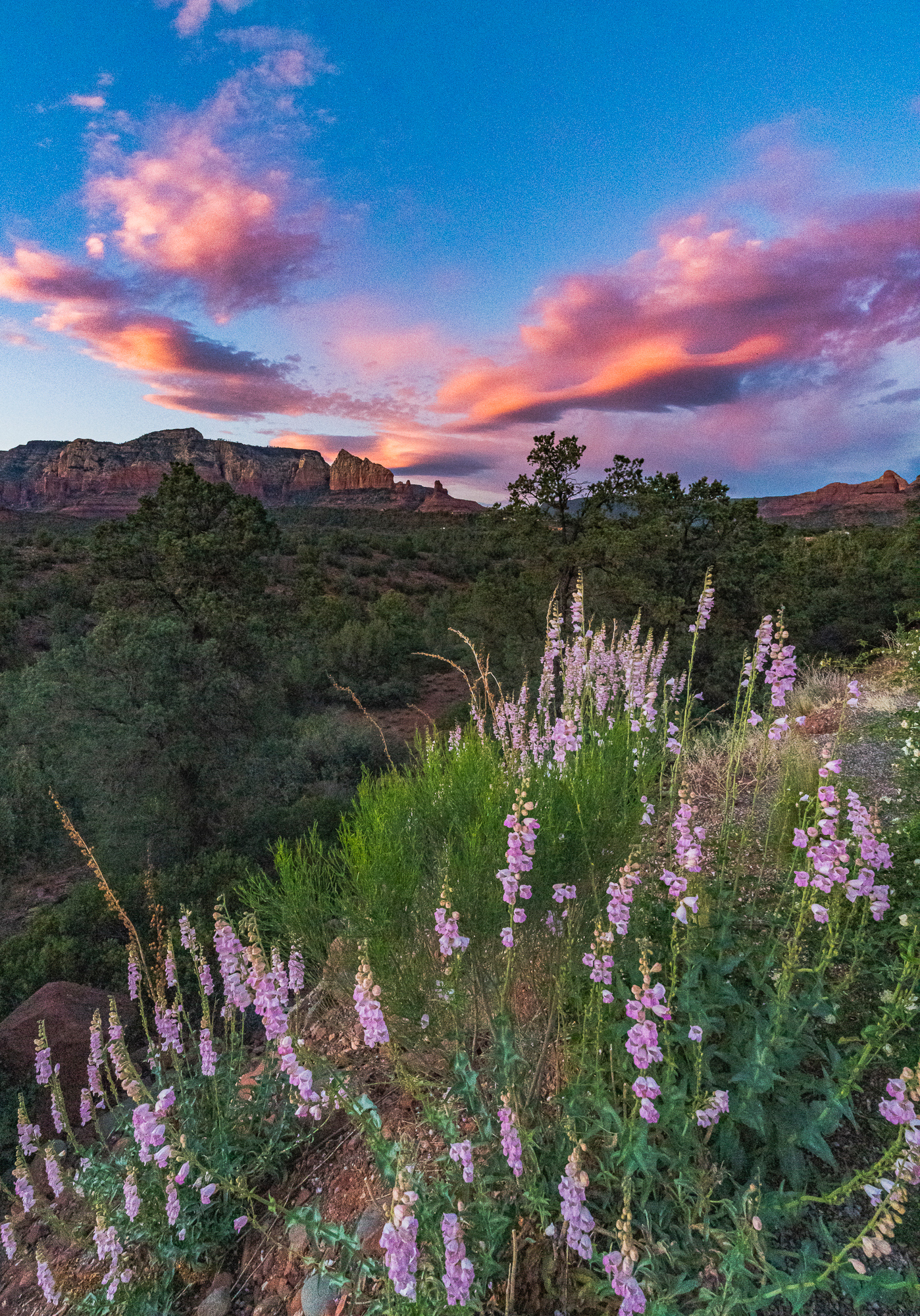 “Mother’s Day Dinner with a View”, 2020, Sedona, AZ