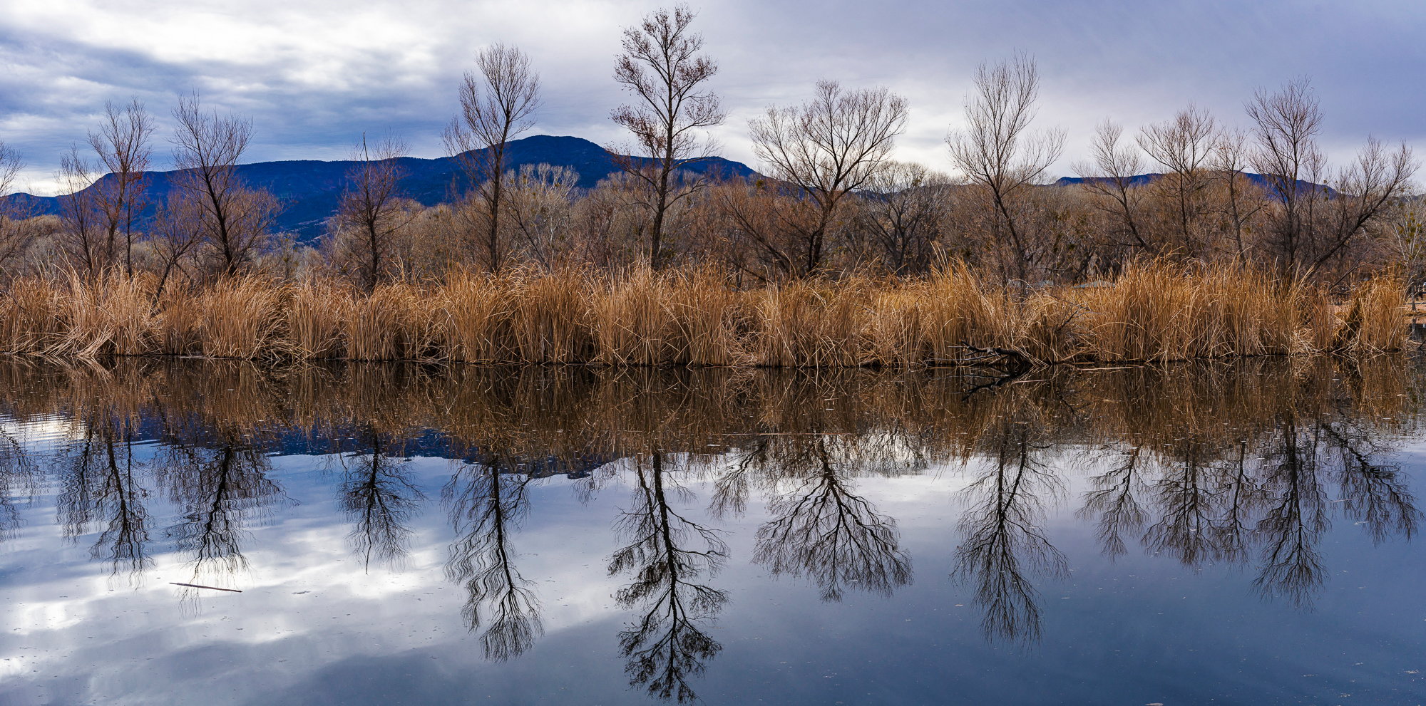 “Winter, Dead Horse Ranch Lagoon”, 2020, Cottonwood, CA