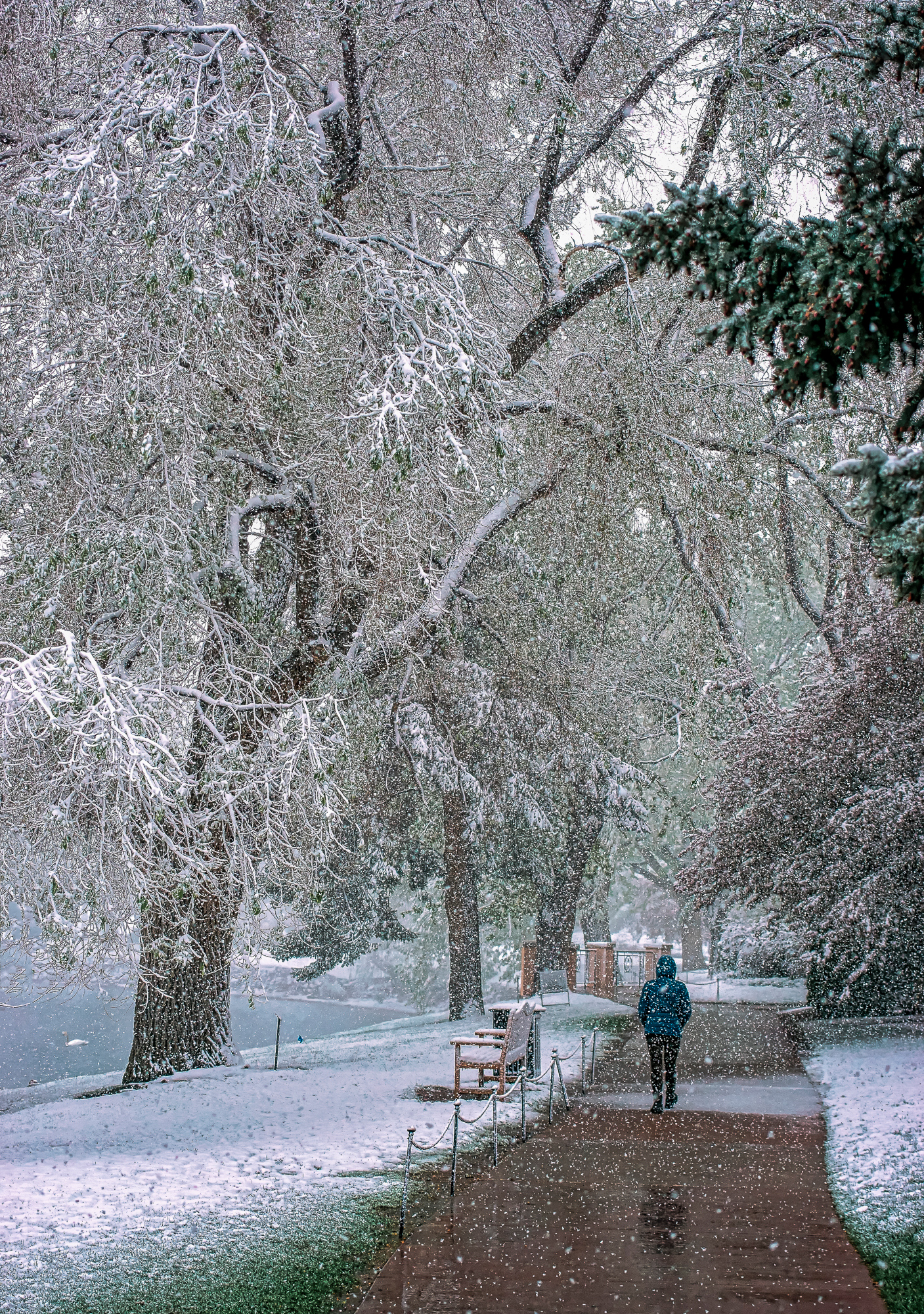 “Mother’s Day Snow”, 2014, Cheyenne Lake, Colorado Springs