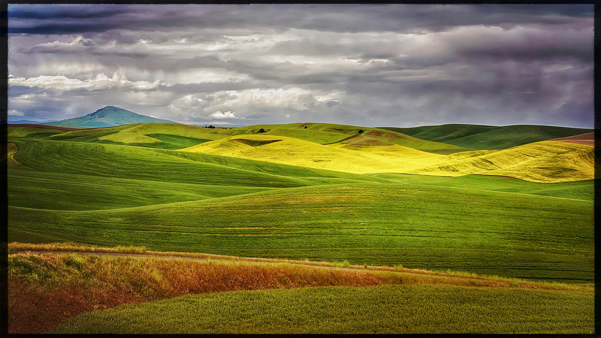 Big skies, big fields