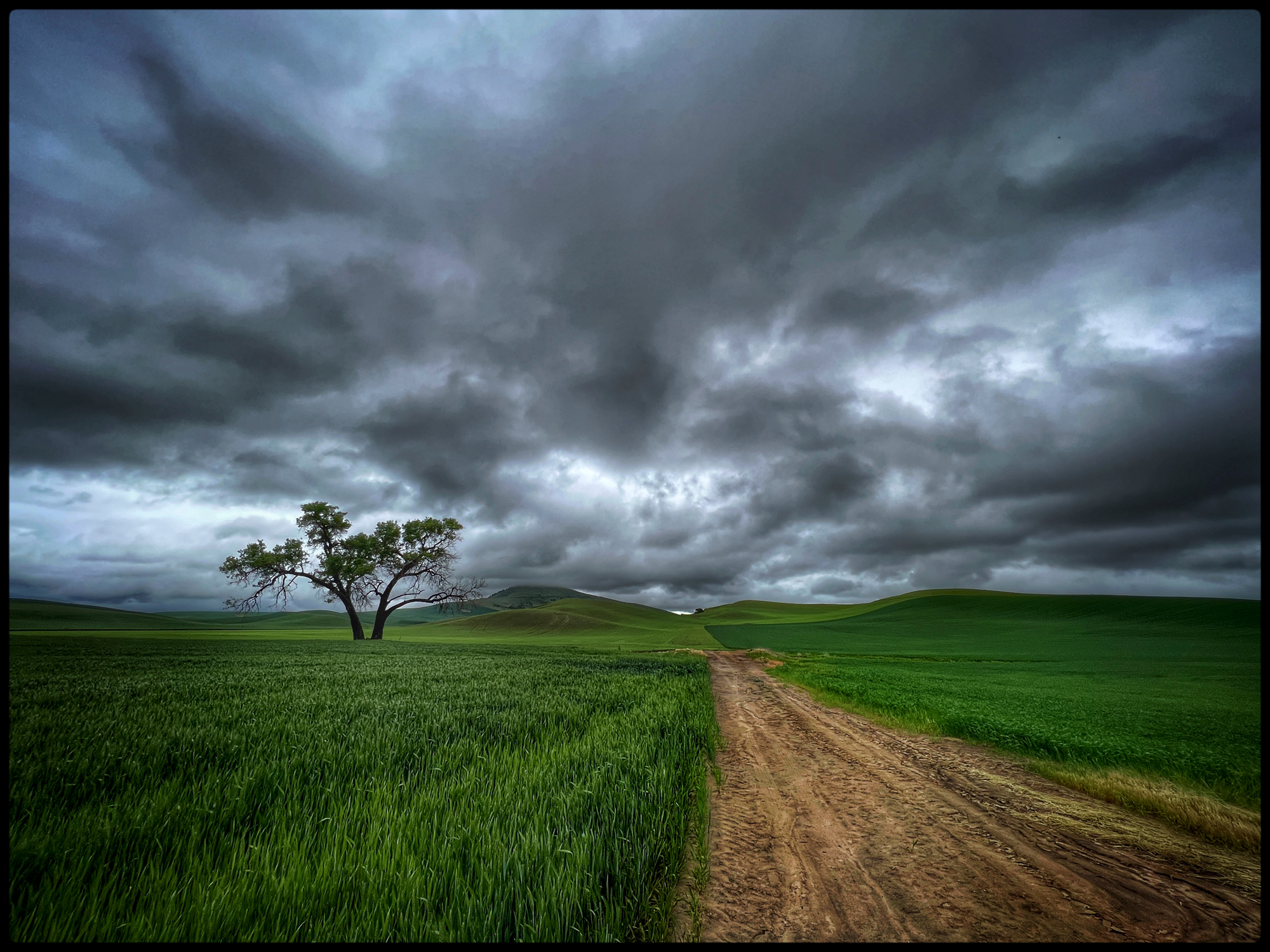 Lots of dirt roads and dramatic skies