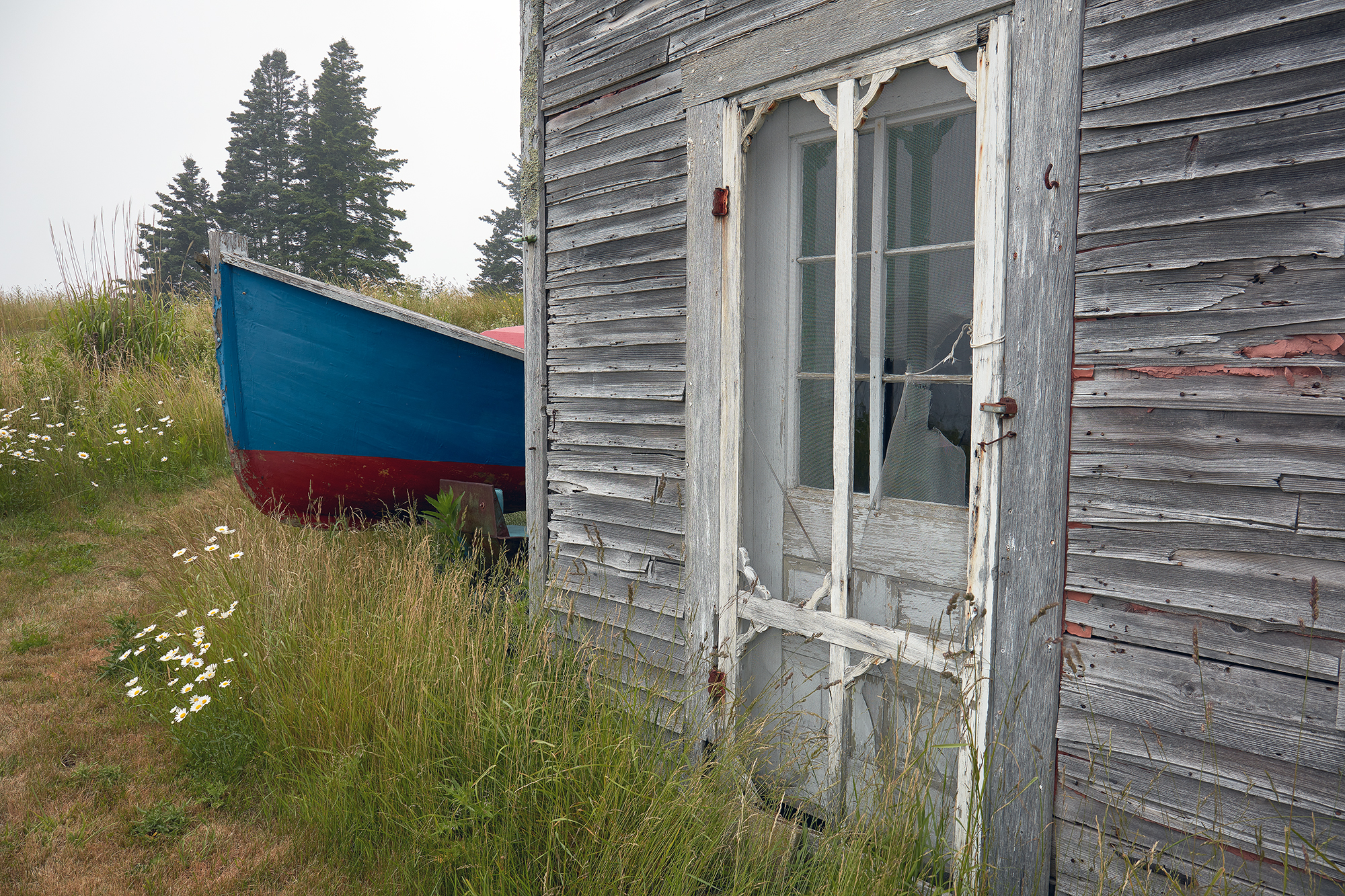 A blue and red boat lies next to a ramshackle door with broken windows. The wooden walls of the building are rotting away, and the grass surrounding the building is overgrown.