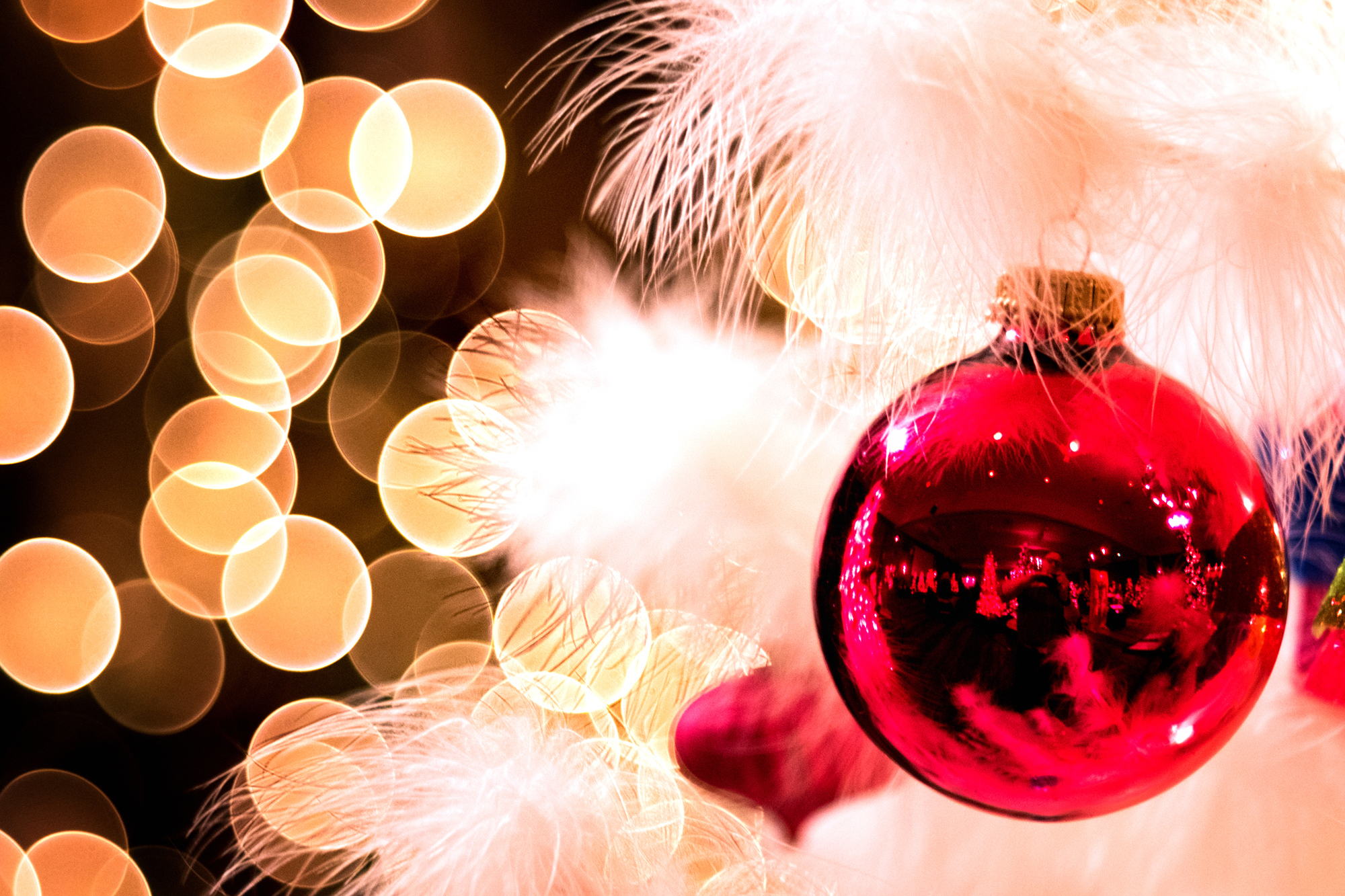 reflection in bokeh