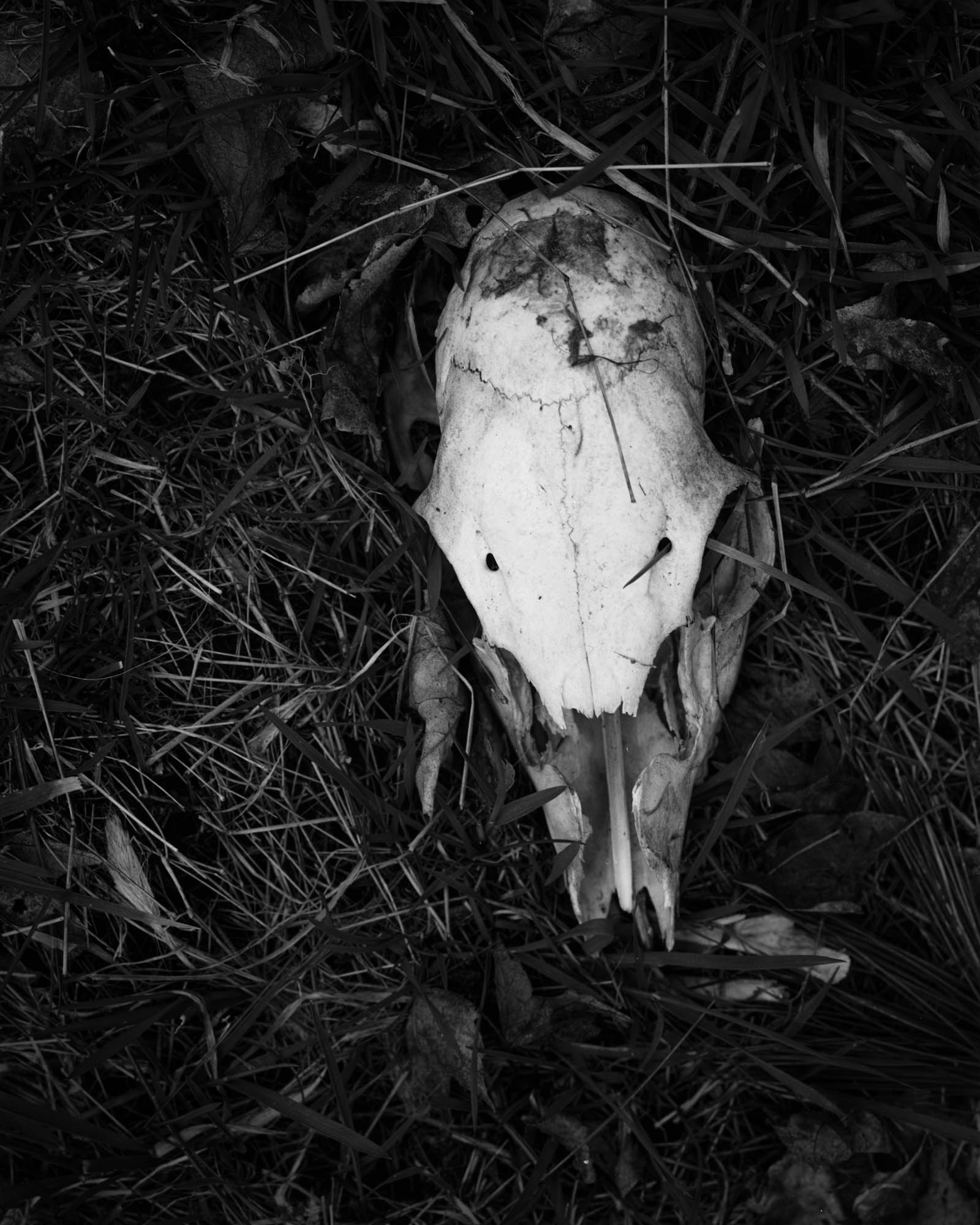 Memento Mori, 4-3-21