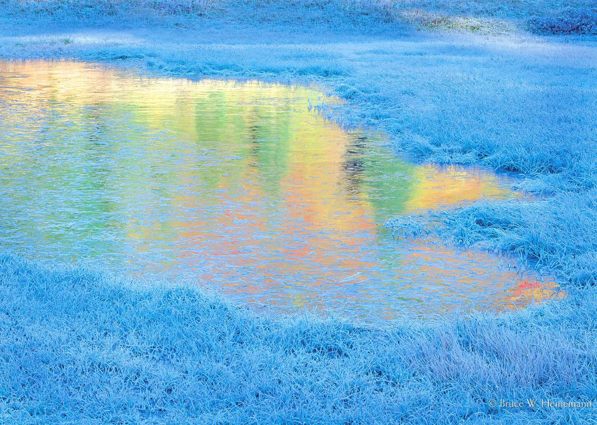 Frozen Autumn Pond