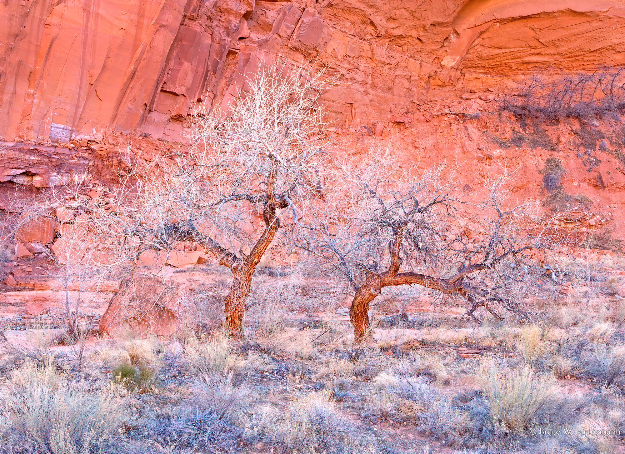 Glen Canyon
