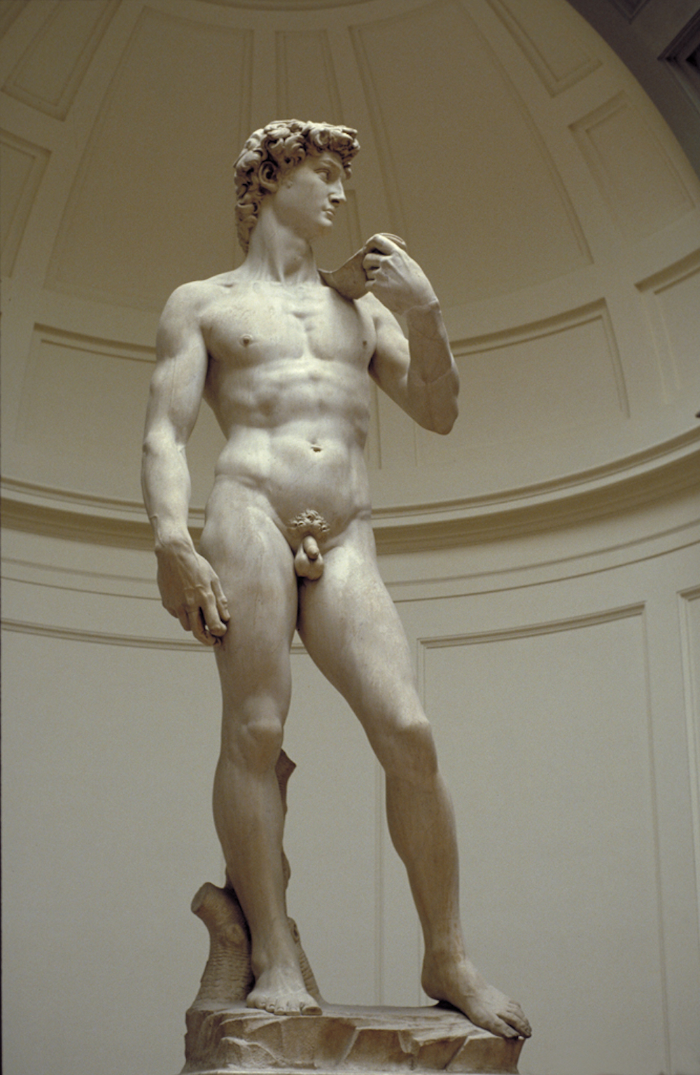 A photo of the statue of David taken by Allan T. Kohl