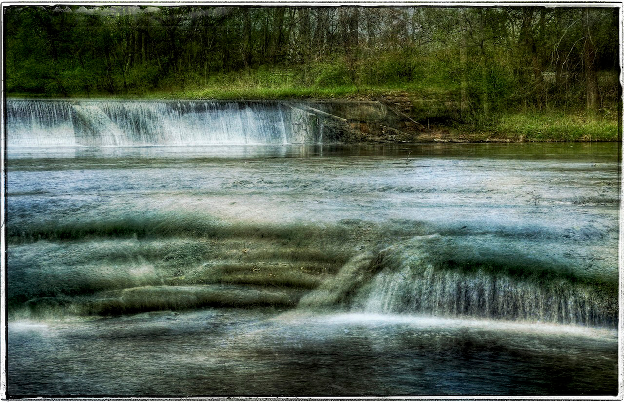 I was having a lot of fun so I tried a bit of Intentional Camera Movement (ICM)
