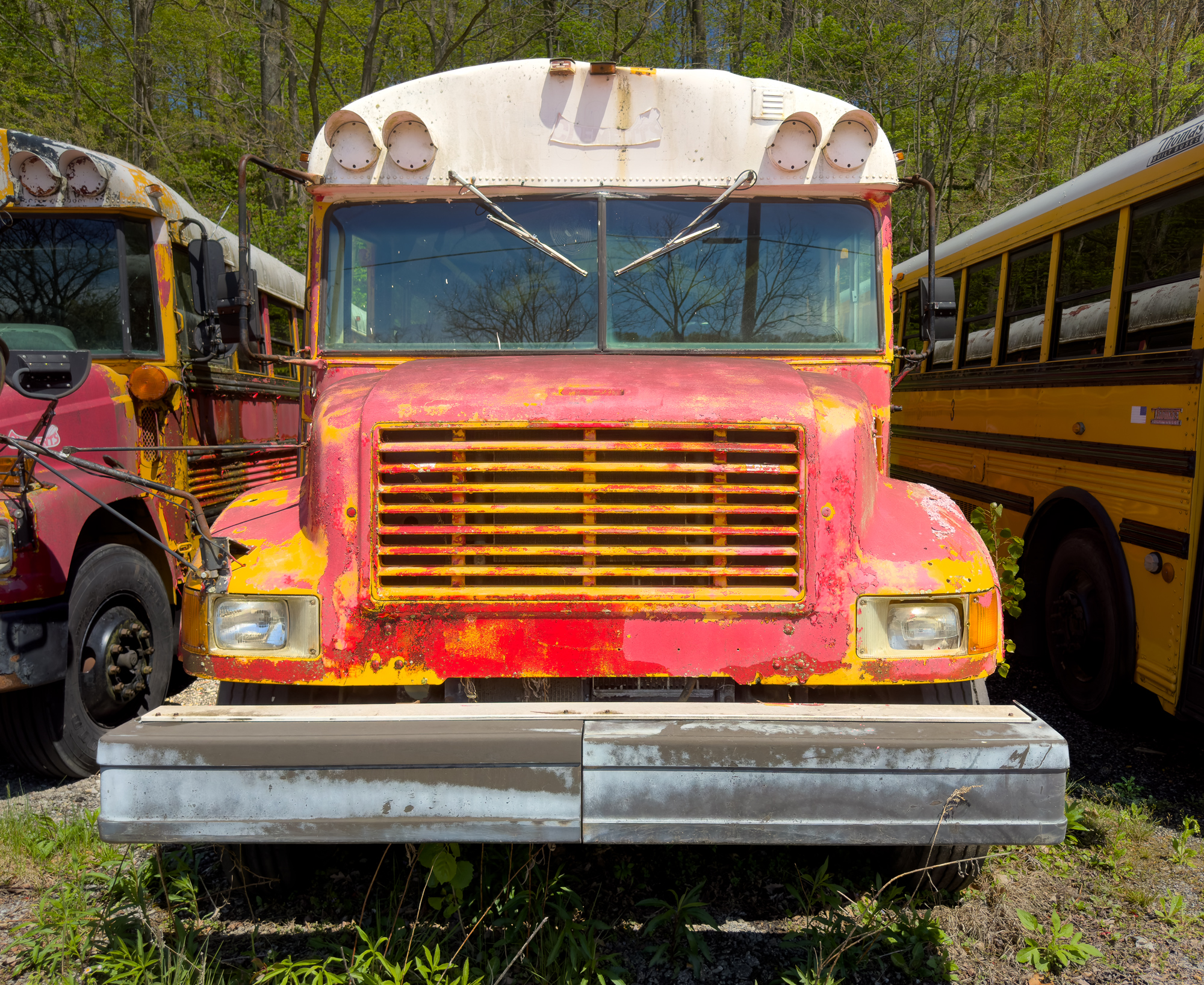 Not sure I would trust this bus