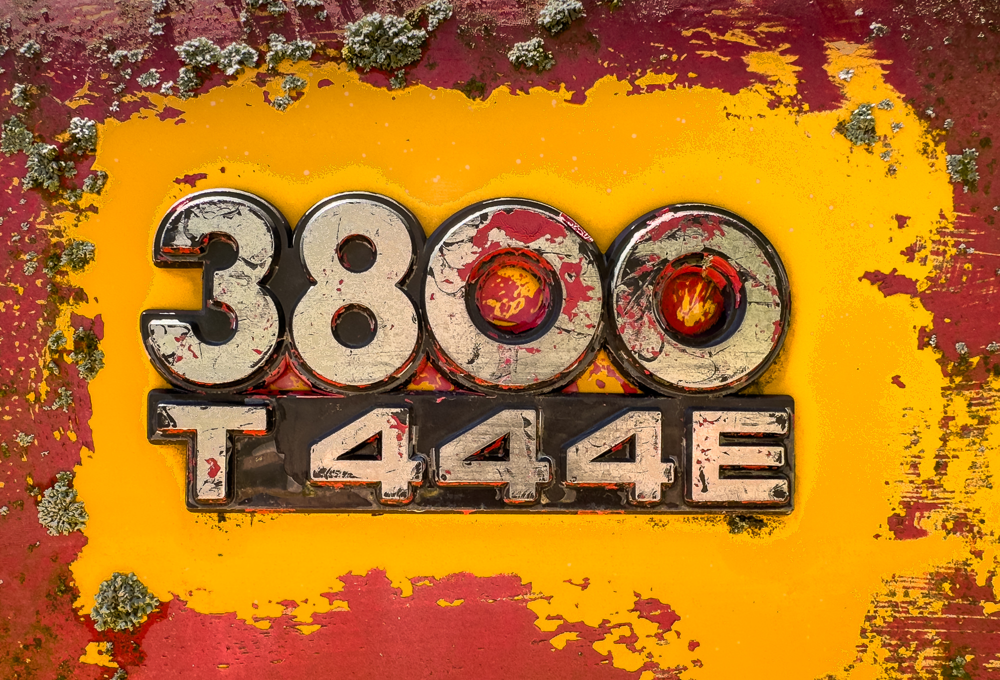 The 3800 T 444E one of the most popular school buses ever