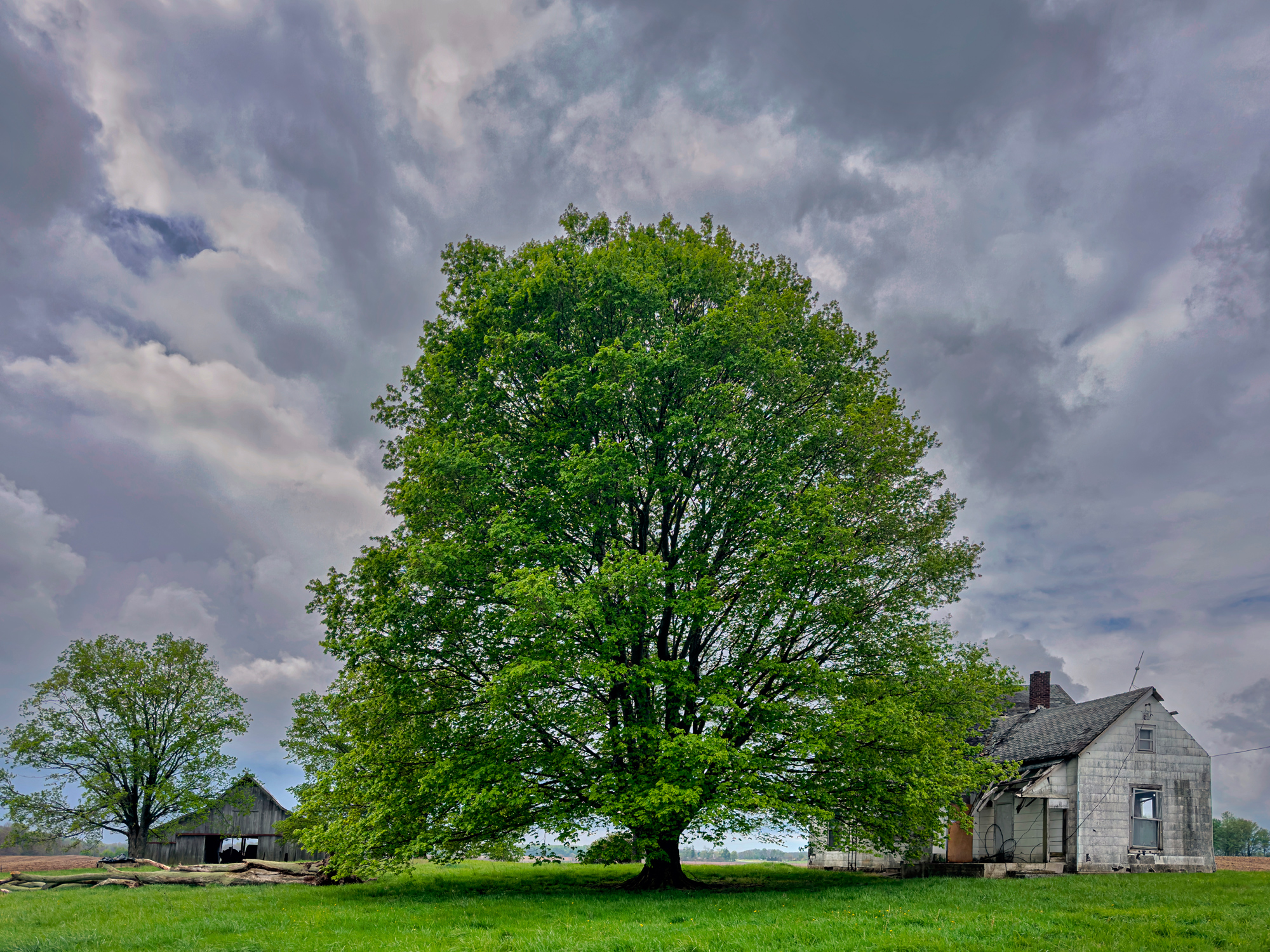 Abandoned Farm Homestead near Waynetown, Indiana iPhone 14 Pro Max, 24mm, 48mp camera, processed in Lightroom Mobile and SnapSeed
