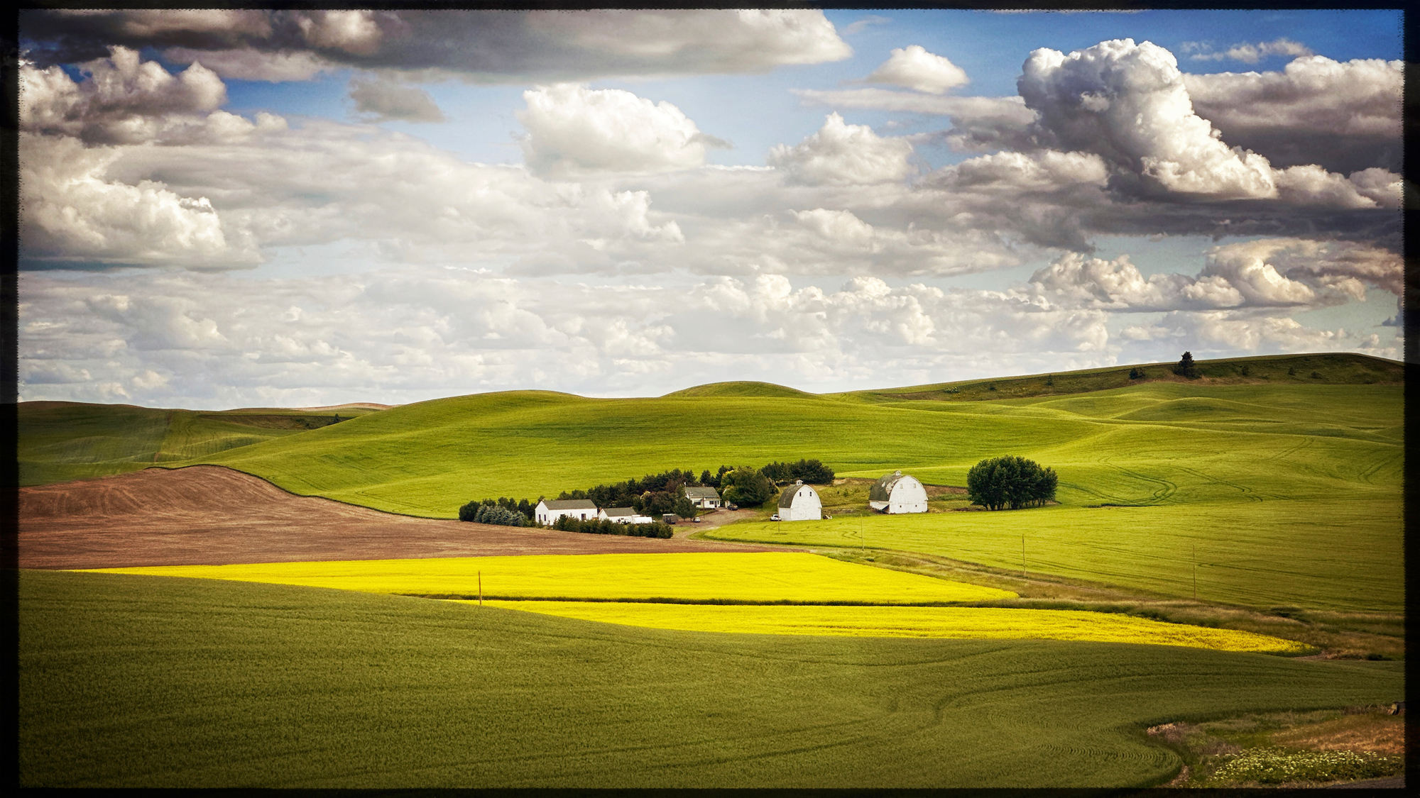 Another photo of the Twin White Barns with a long lens from a road on one of the hills.