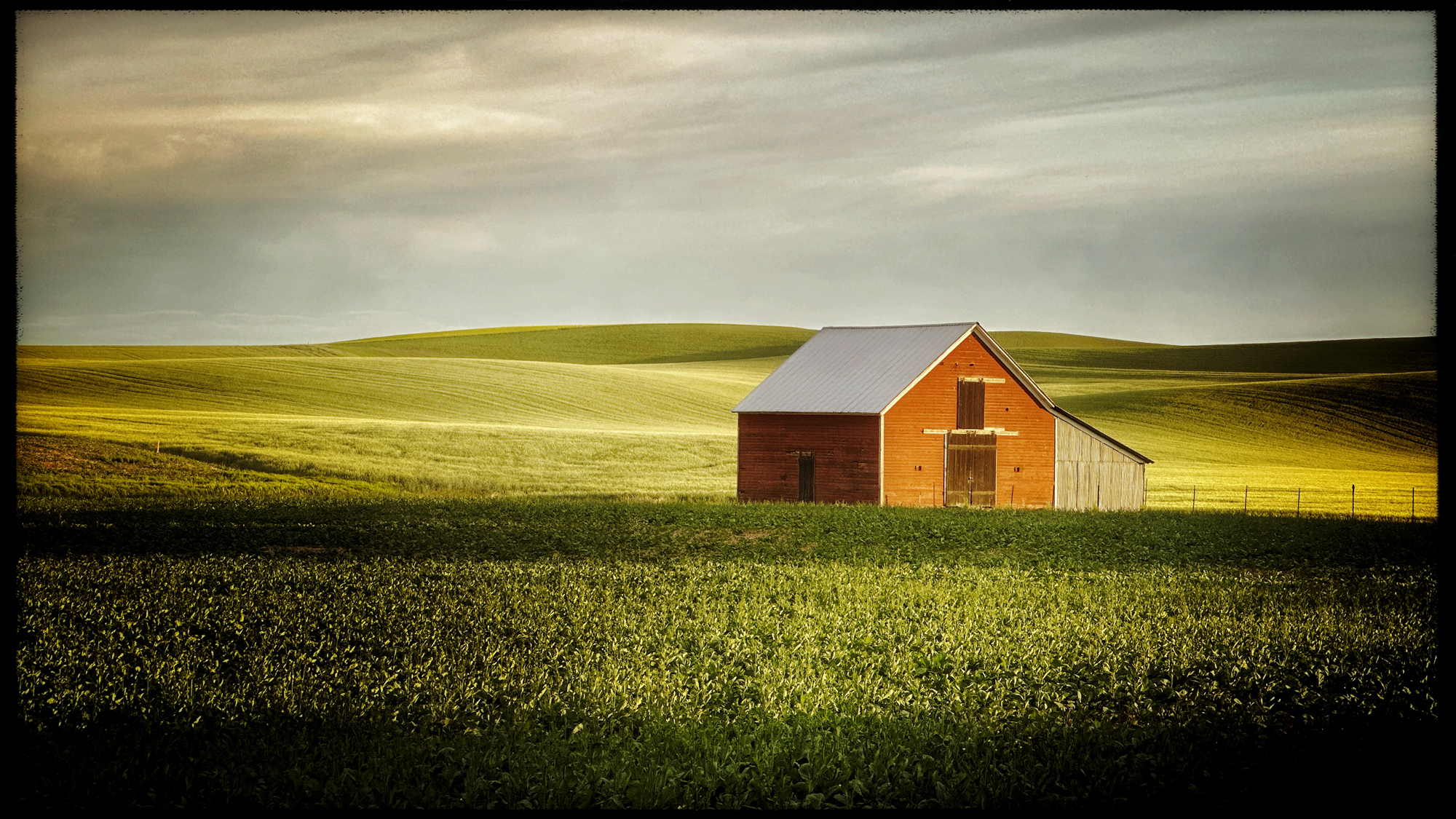 On a back road on the way back to Pullman