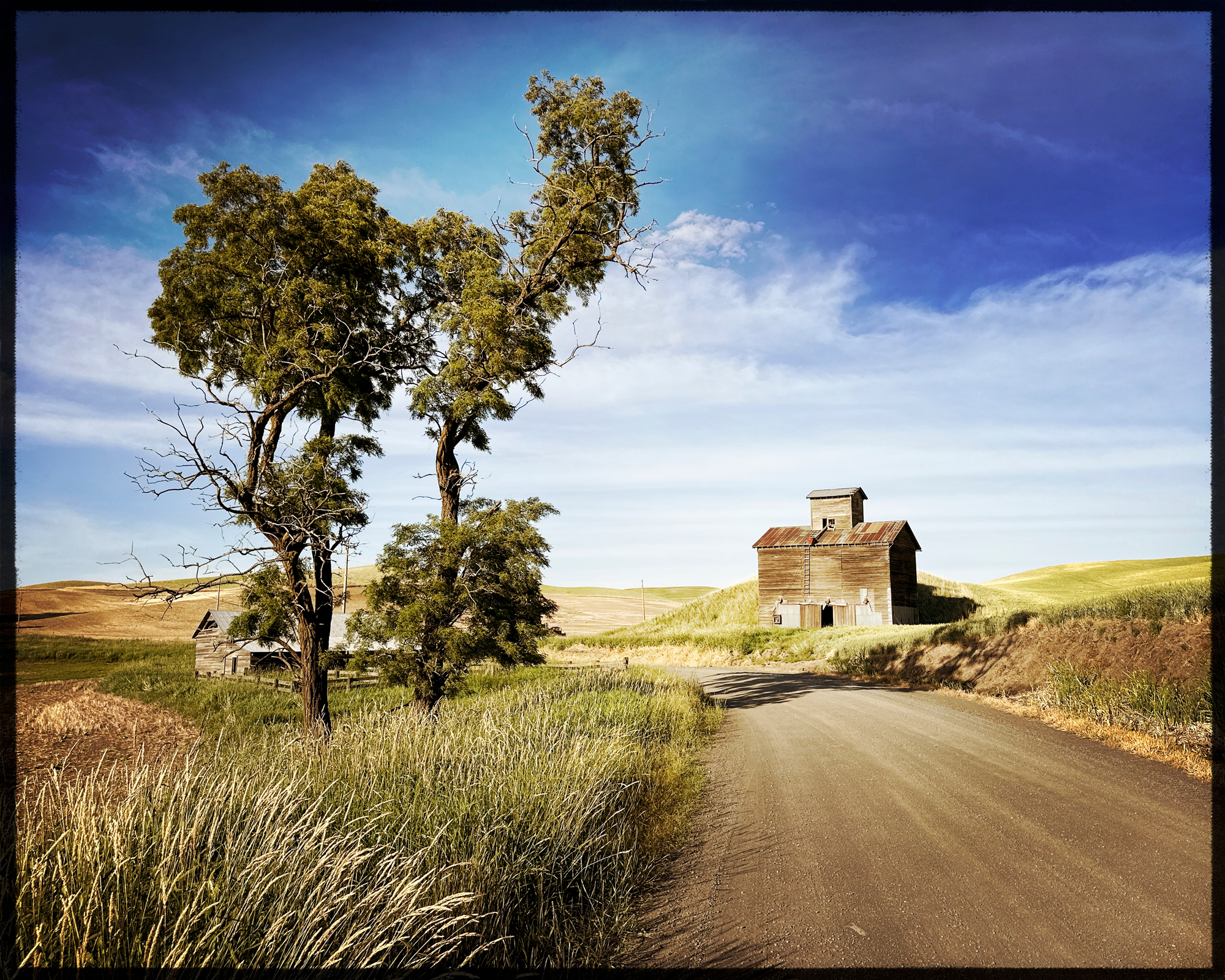 Every road in the Palouse yields photographic gems