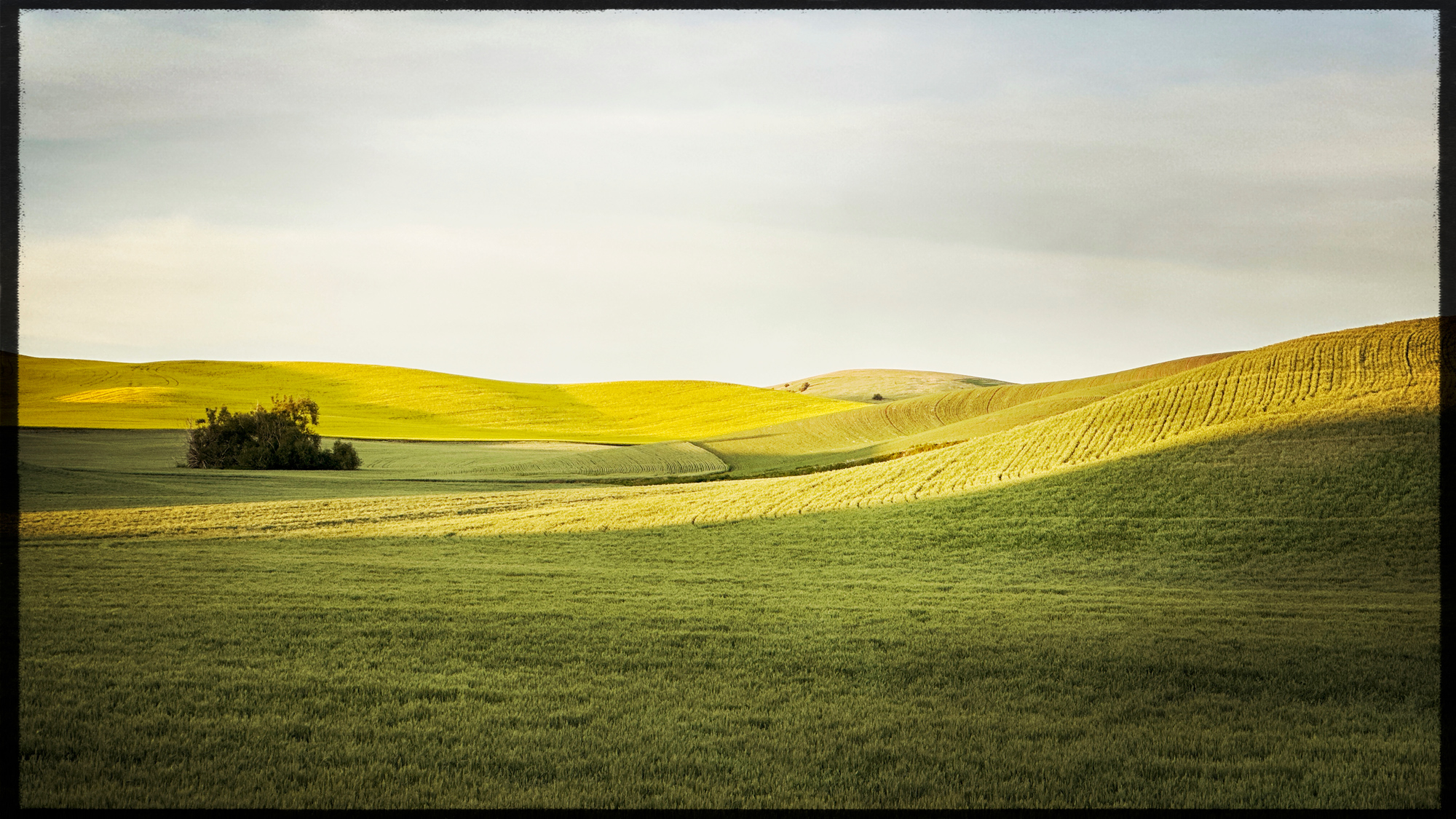 Fields that reach over the horizon