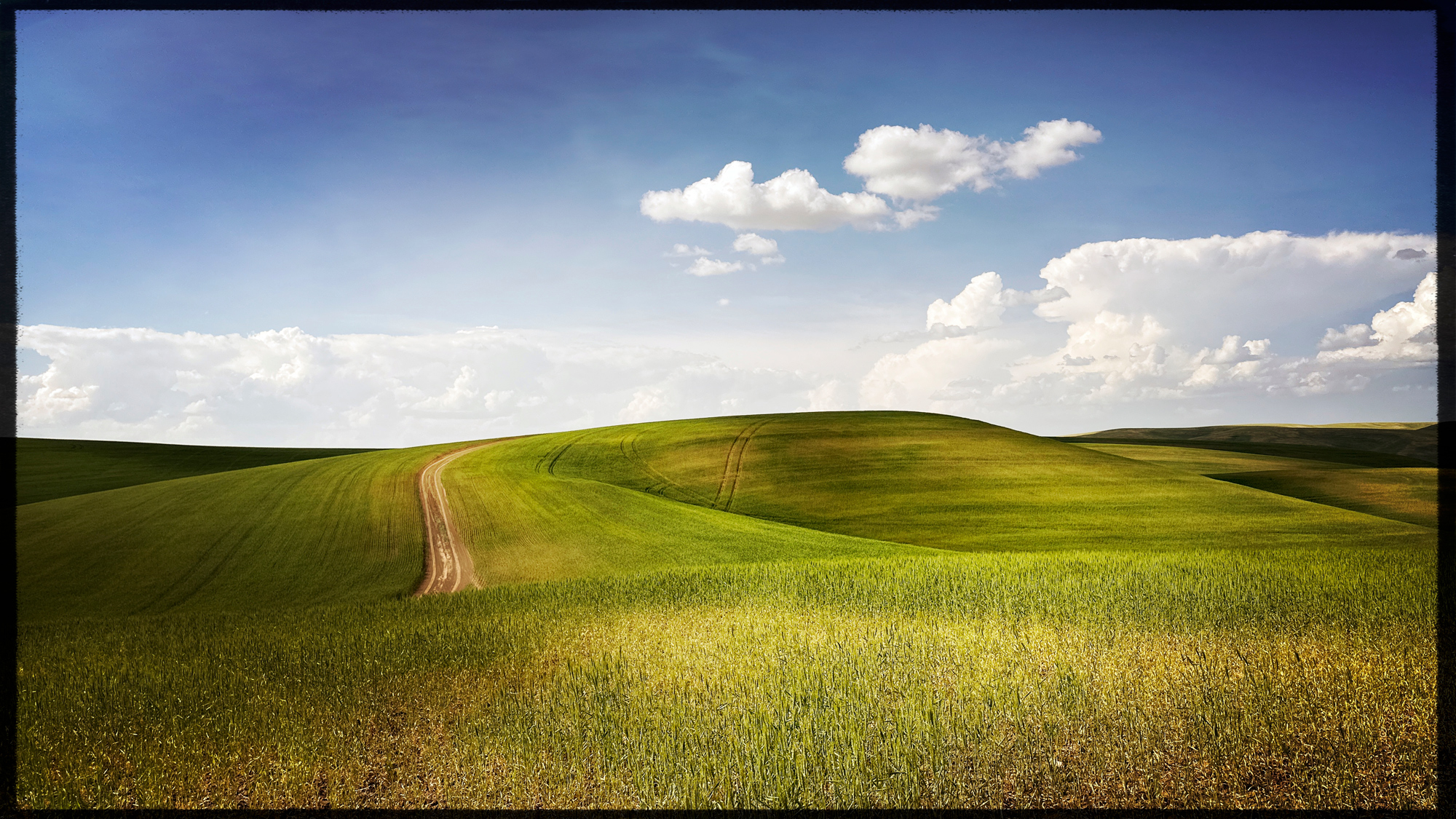 Dirt roads that go deep into the heart of the Palouse. I'm friends with a farmer that has the largest farm in the region and these dirt road go deep into the fields and once you are in there you truly can experience the immensity of the area