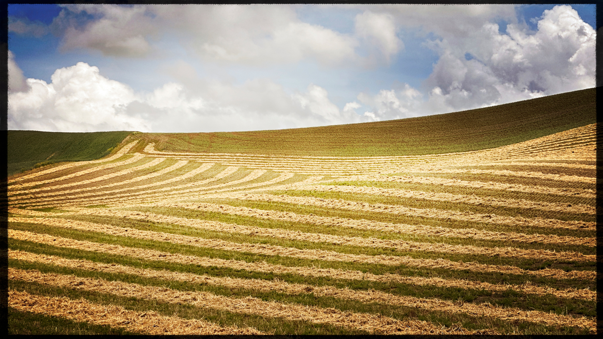 Just by moving a hundred feet and changing the angle of view I came up with another cool image.
