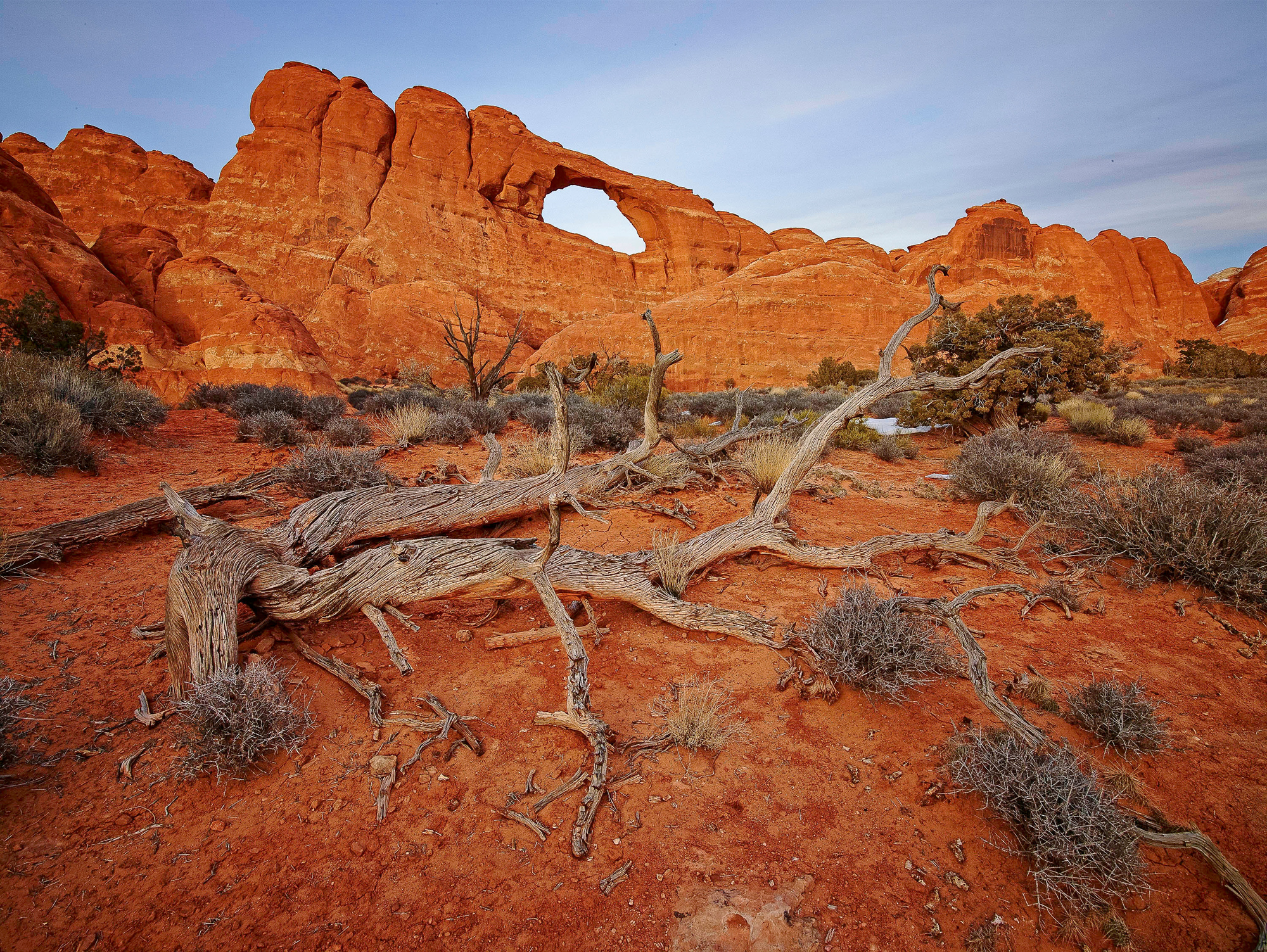 Arches National Park