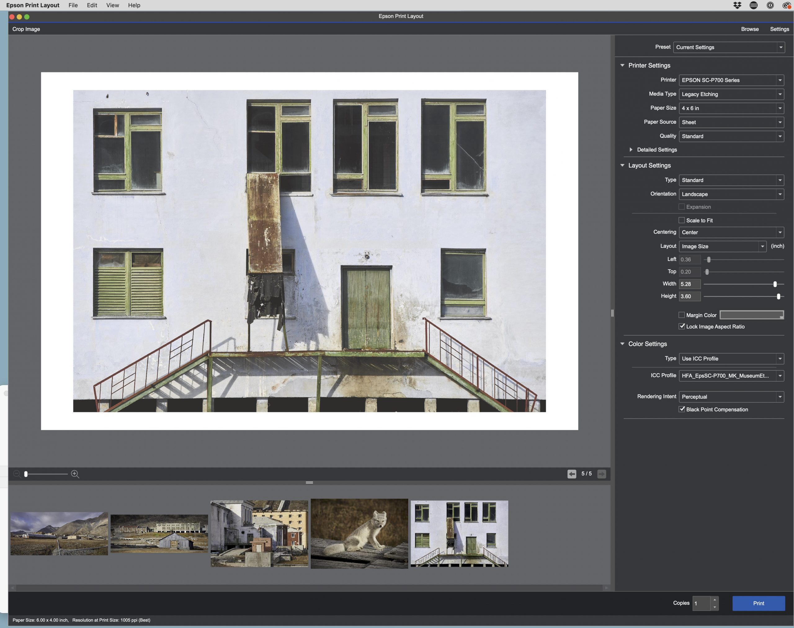 Epson Print Layout