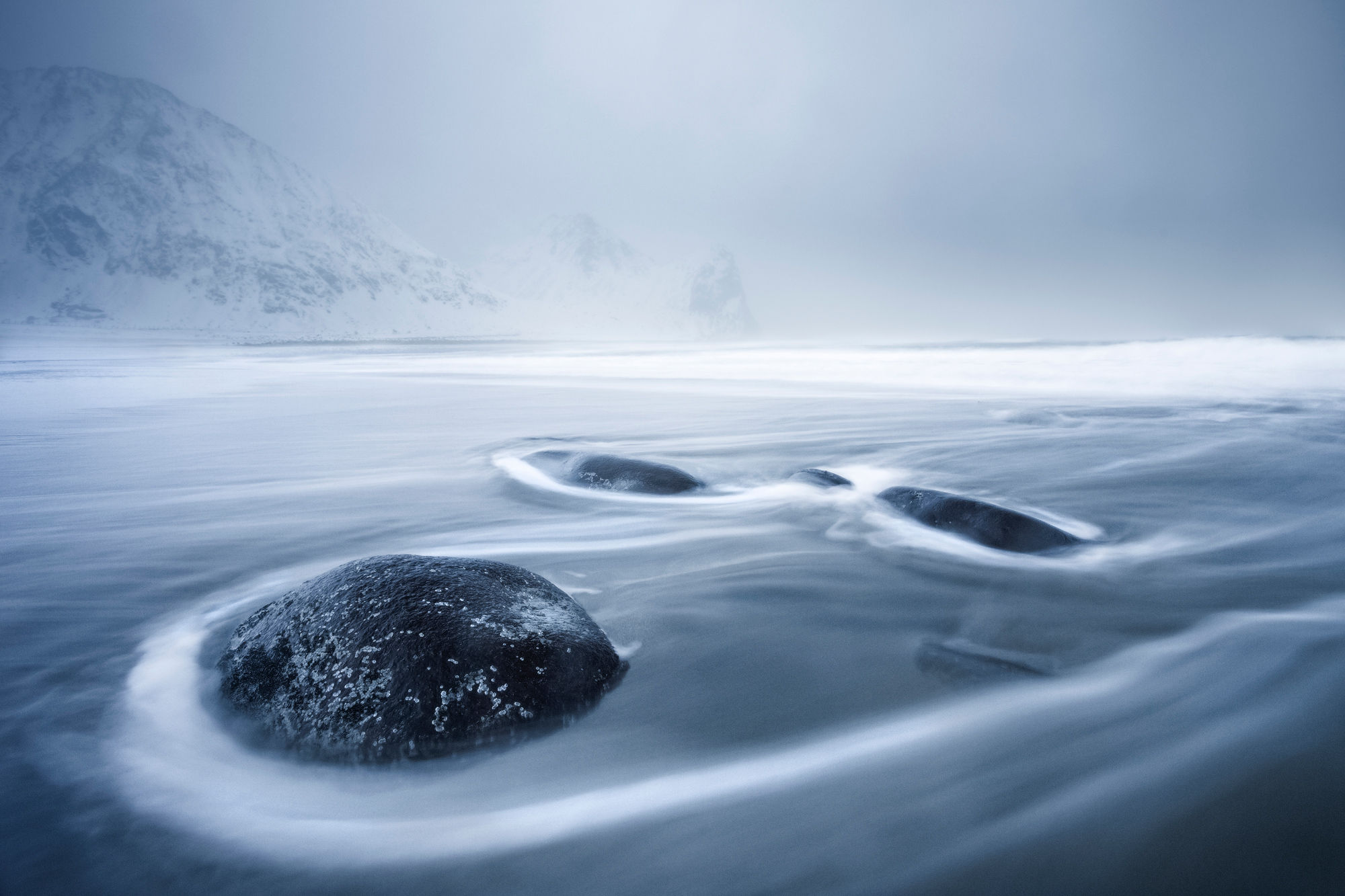 Europa photographed by Enrico Curti, Norway Location Details: Lofoten, Nordland, Norway.