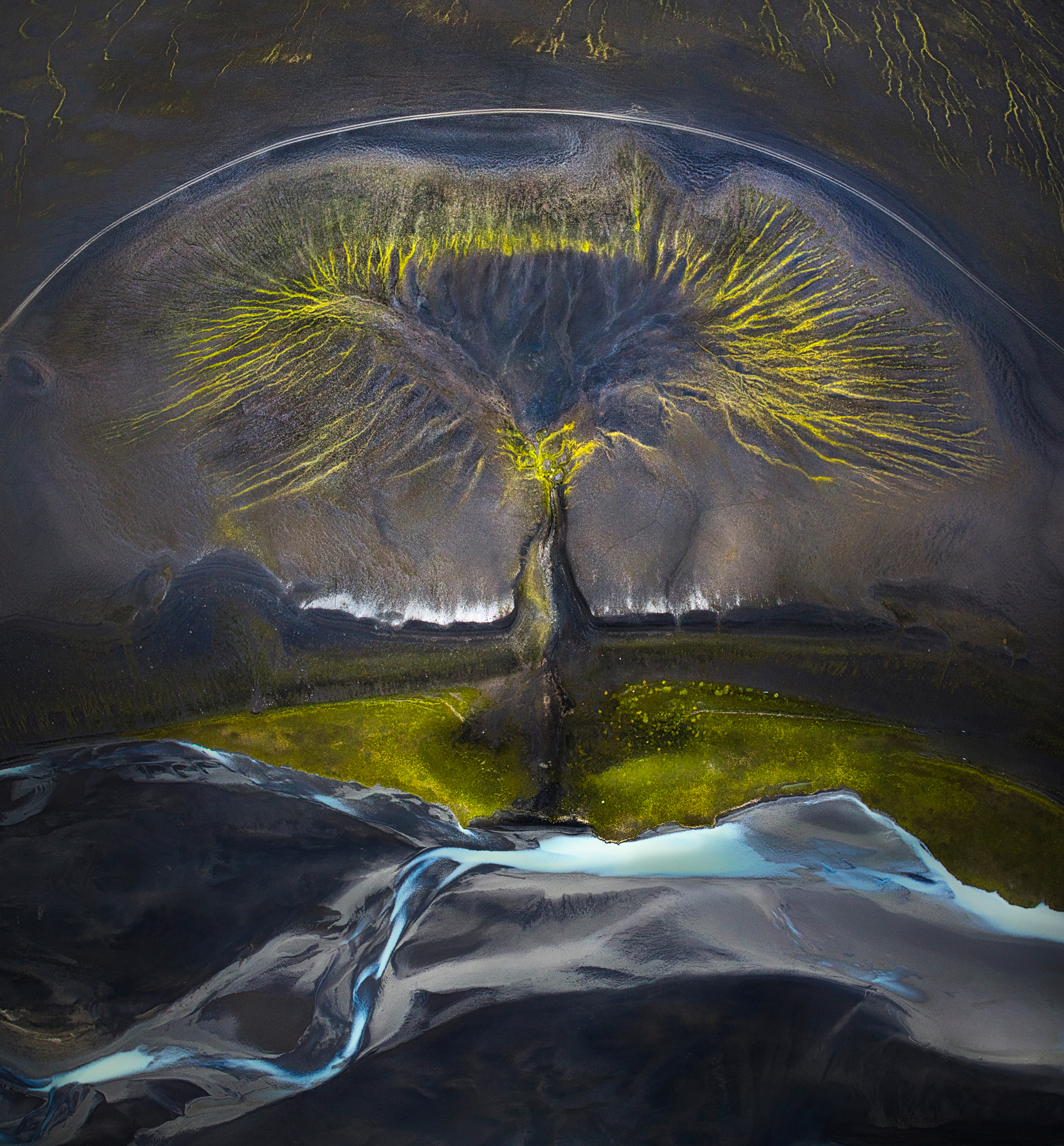 TTree of life photographed by Isabella Tabacchi, Italy Location Details: Grooves on the ground and rivers in the highlands, Iceland.
