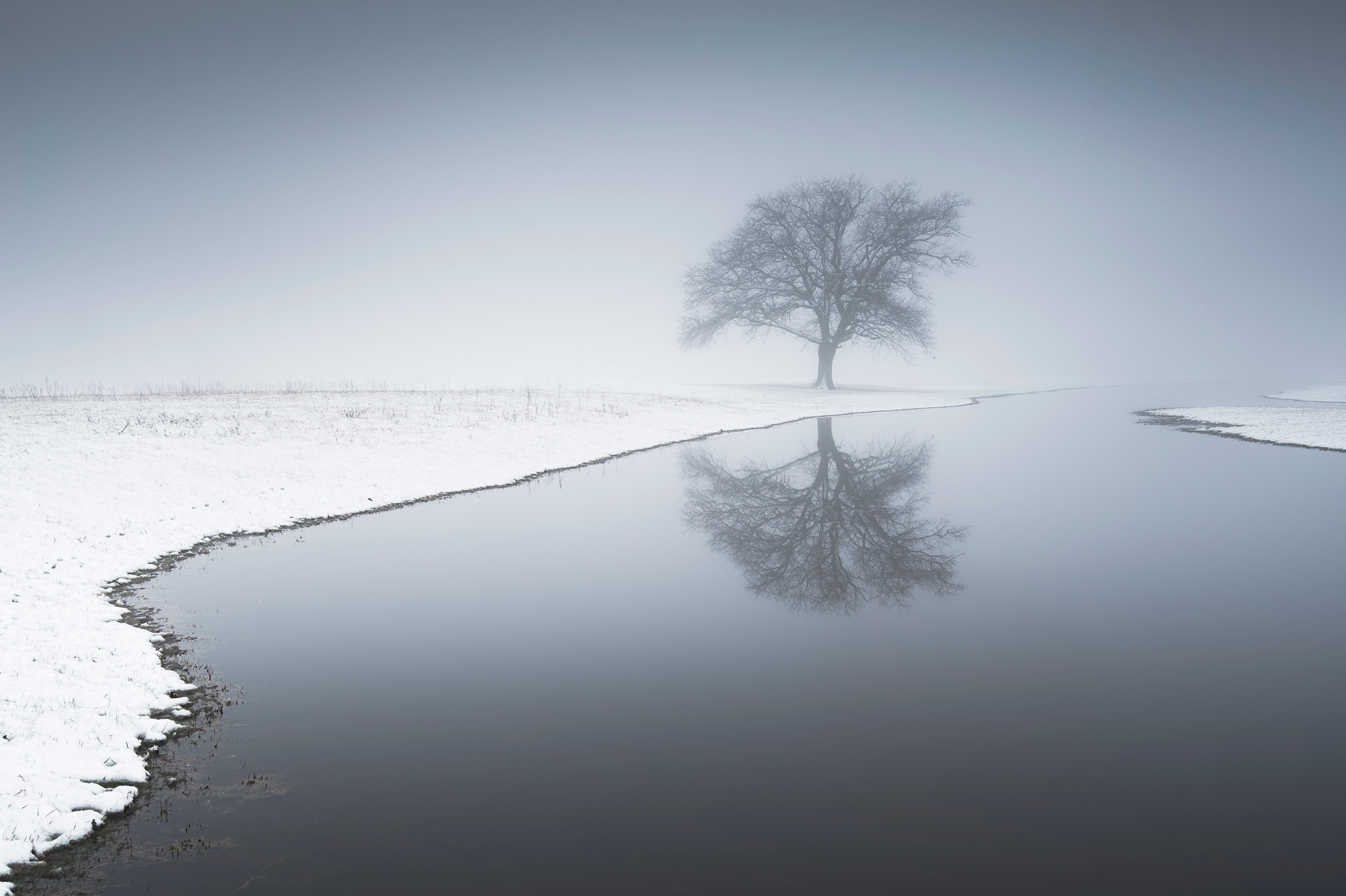 Winter shore photographed by Marcin Orszulak, Poland Location Details: M_ynarze, Masovian Voivodeship, Poland