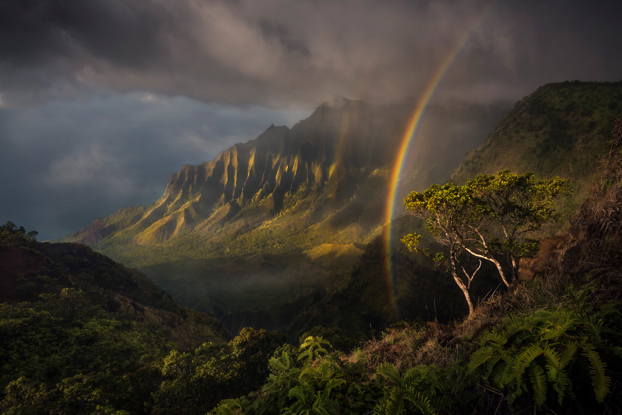 Jurassic photographed by Matt Meisenheimer, United States Location Details: Kauai, Hawaii