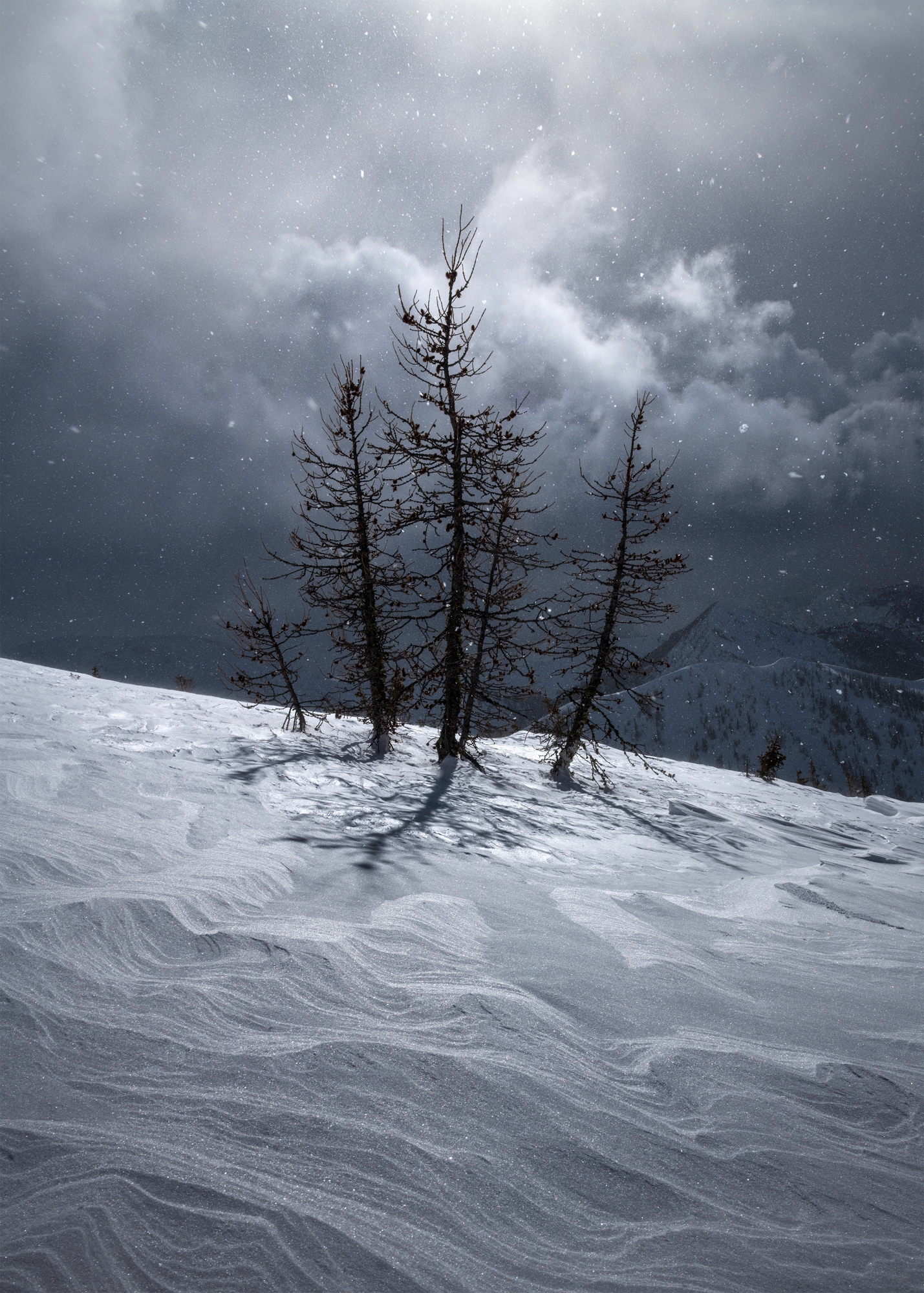 White Squall photographed by Blake Randall, Canada Location Details: Manning Park, BC, Canada
