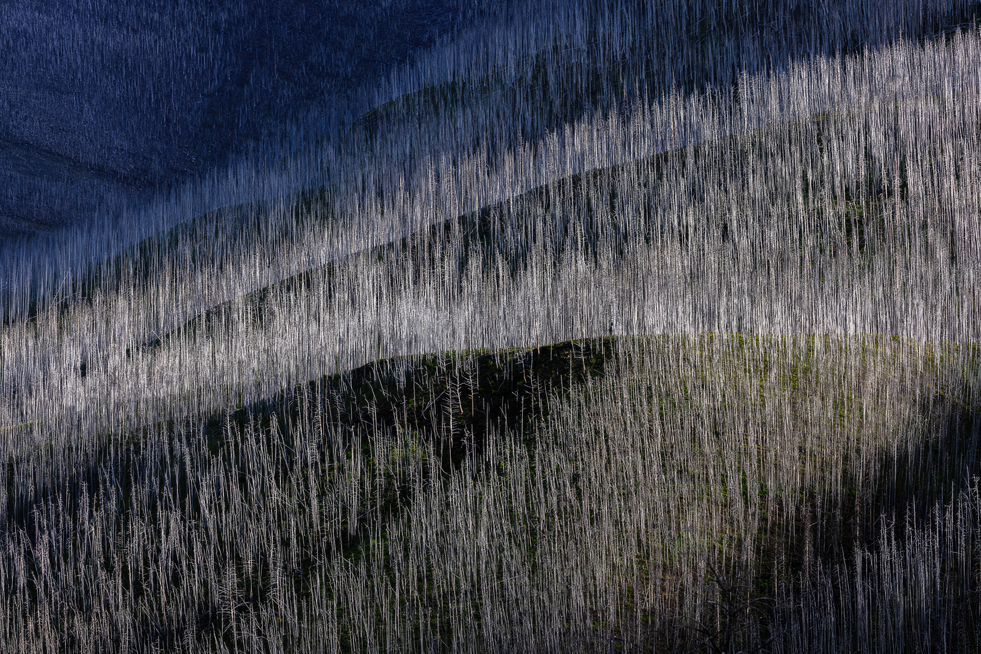 Sunlight patterns photographed by Andrew Mielzynski, Canada Location Details: Waterton Lakes National Park, Alberta, Canada