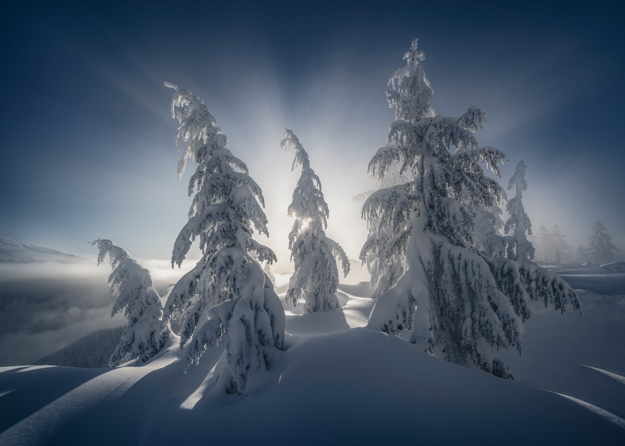 Serious fresh snow photographed by Ruxuan Hou, China (Mainland) Location Details: Mt. Hood National Forest, Oregon