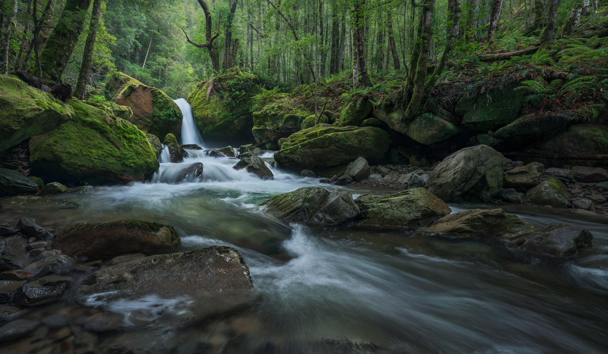 Chasm photographed by Joshua Maletsky, Australia Location Details: Meander forest, Great Western Tiers, Tasmania