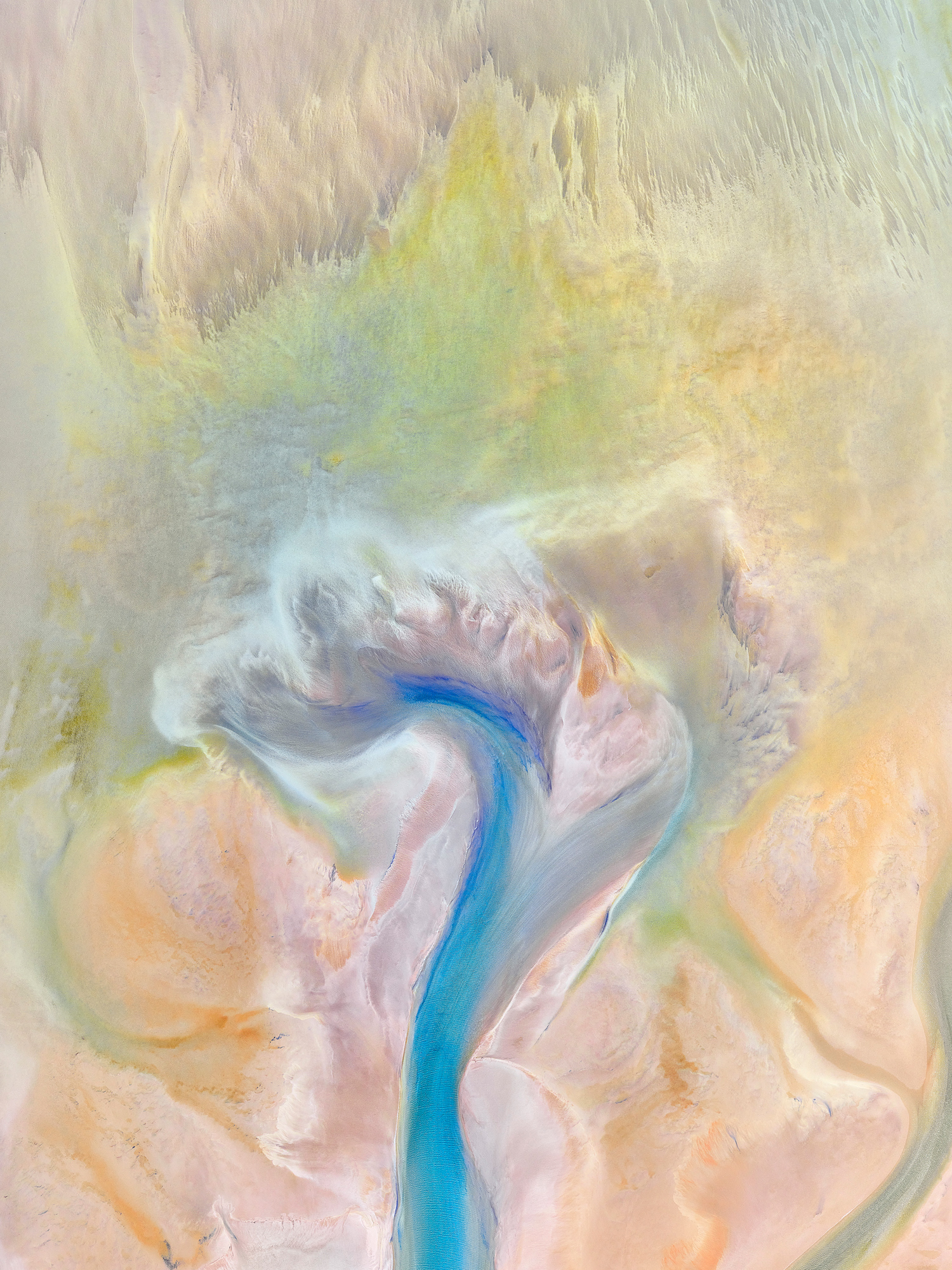 FLORALIS photographed by Tony Hewitt, Australia Location Details: Shark Bay, Western Australia