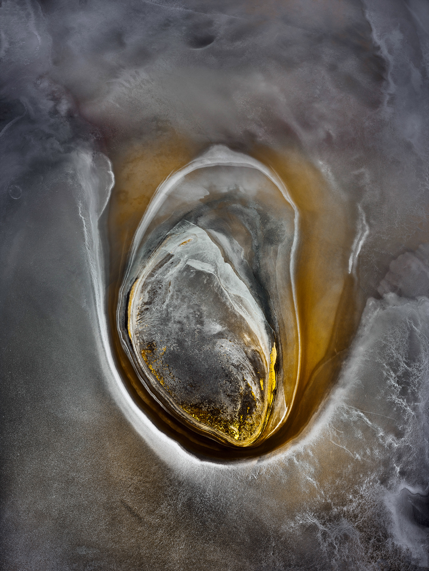 AURUM photographed by Tony Hewitt, Australia Location Details: Wheatbelt Region Western Australia