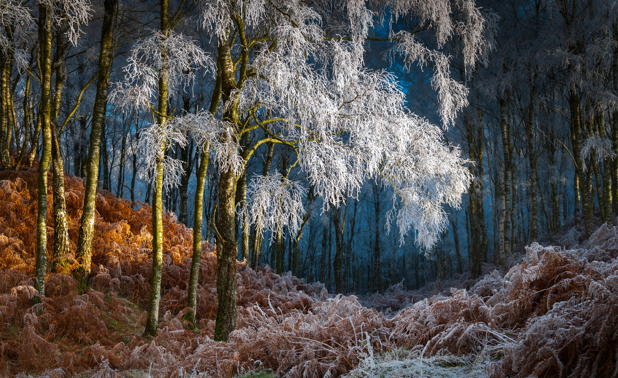 The Door To Narnia photographed by Stuart McGlennon, United Kingdom Location Details: Eden Valley, Cumbria, UK