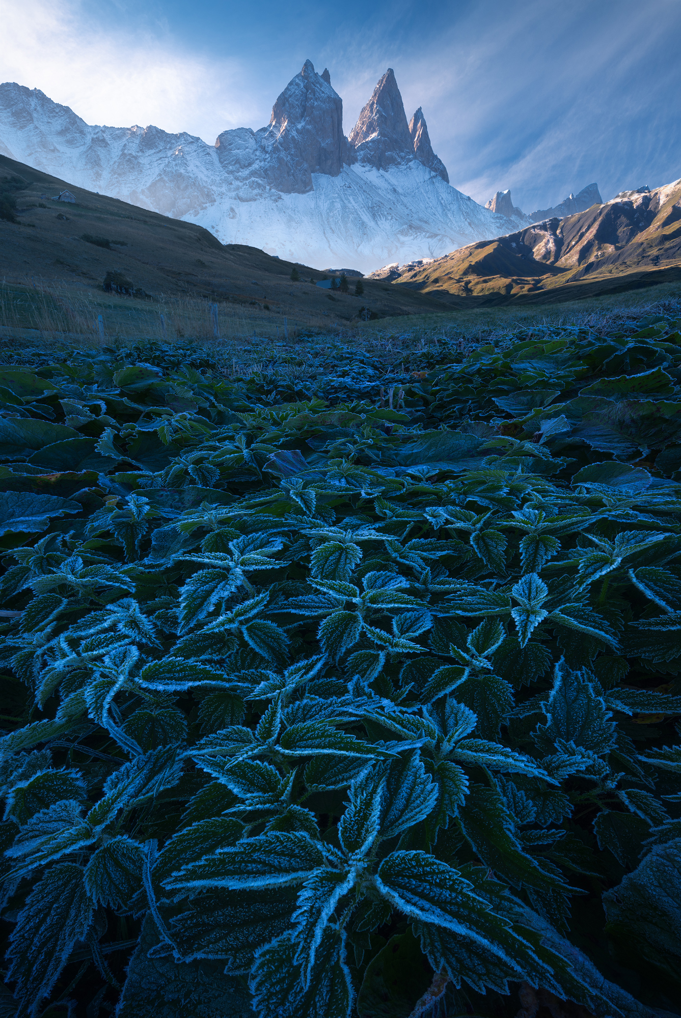 Frozen photographed by Arpan Das, Switzerland Location Details: French Alps, France