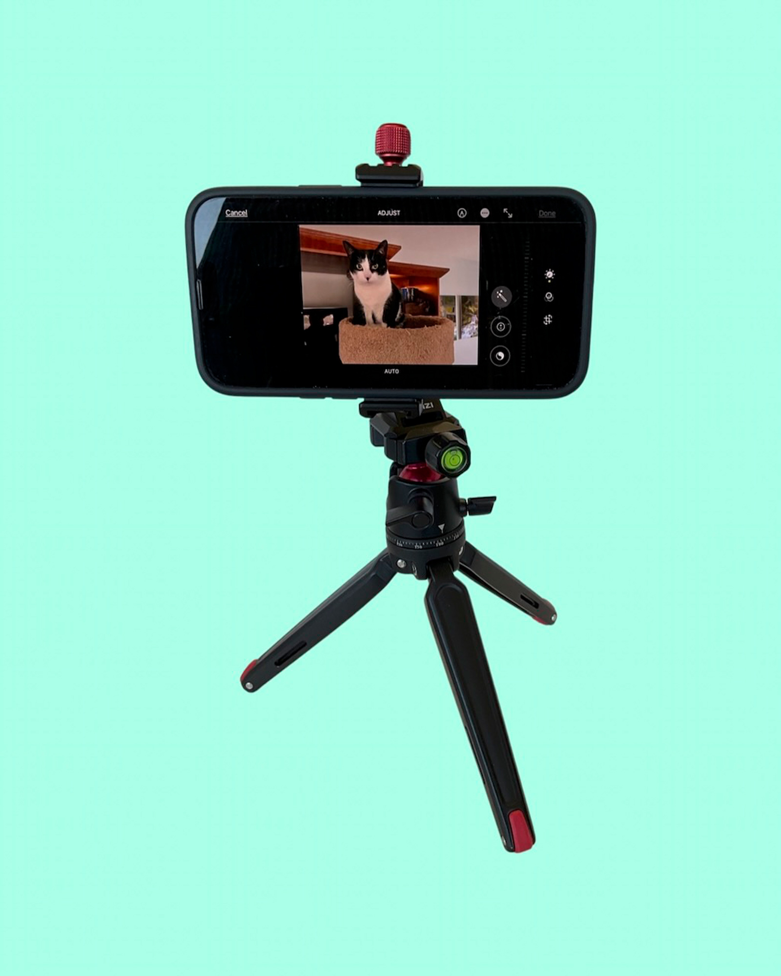Mobile Photography