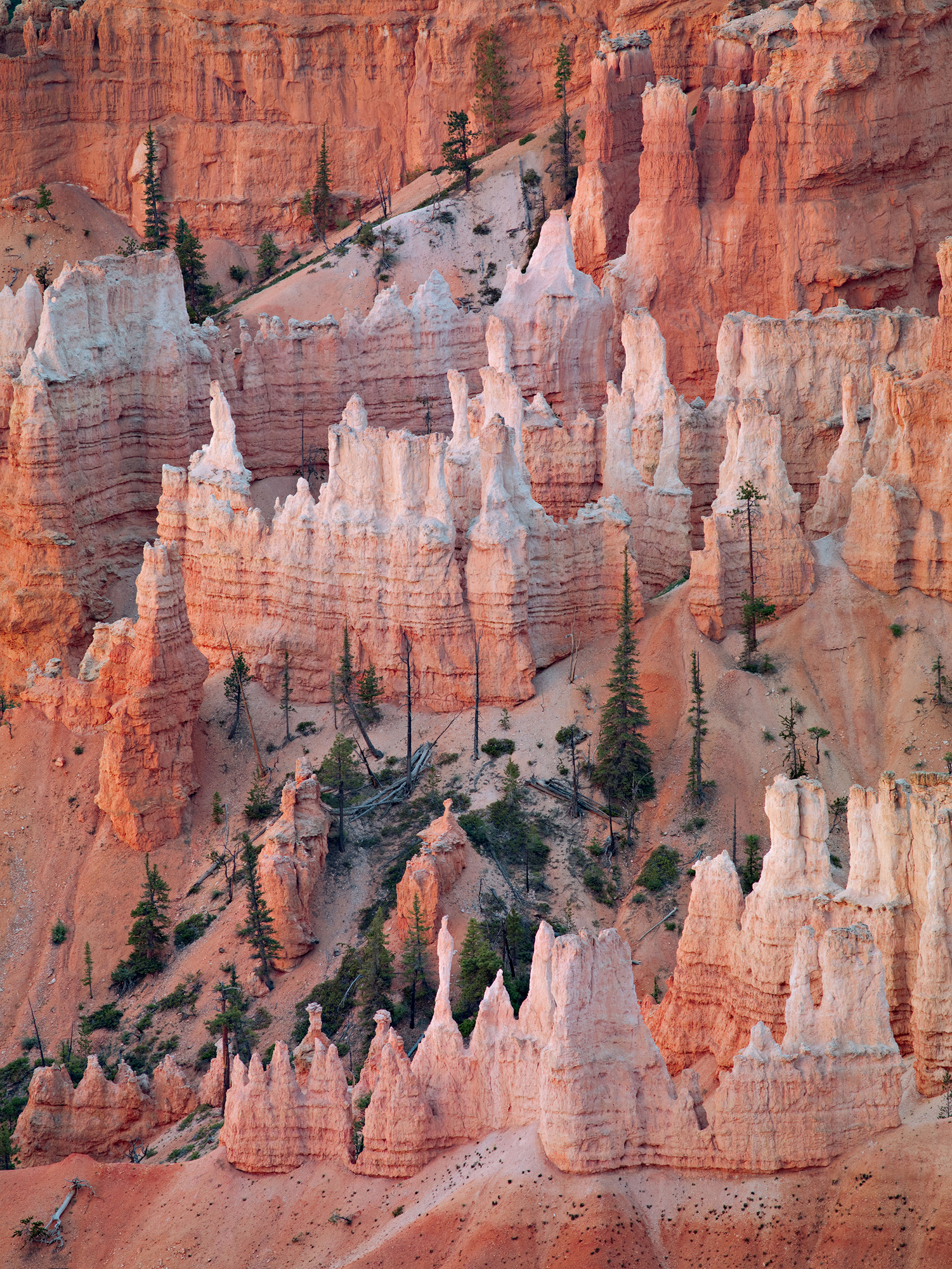 Bryce Canyon