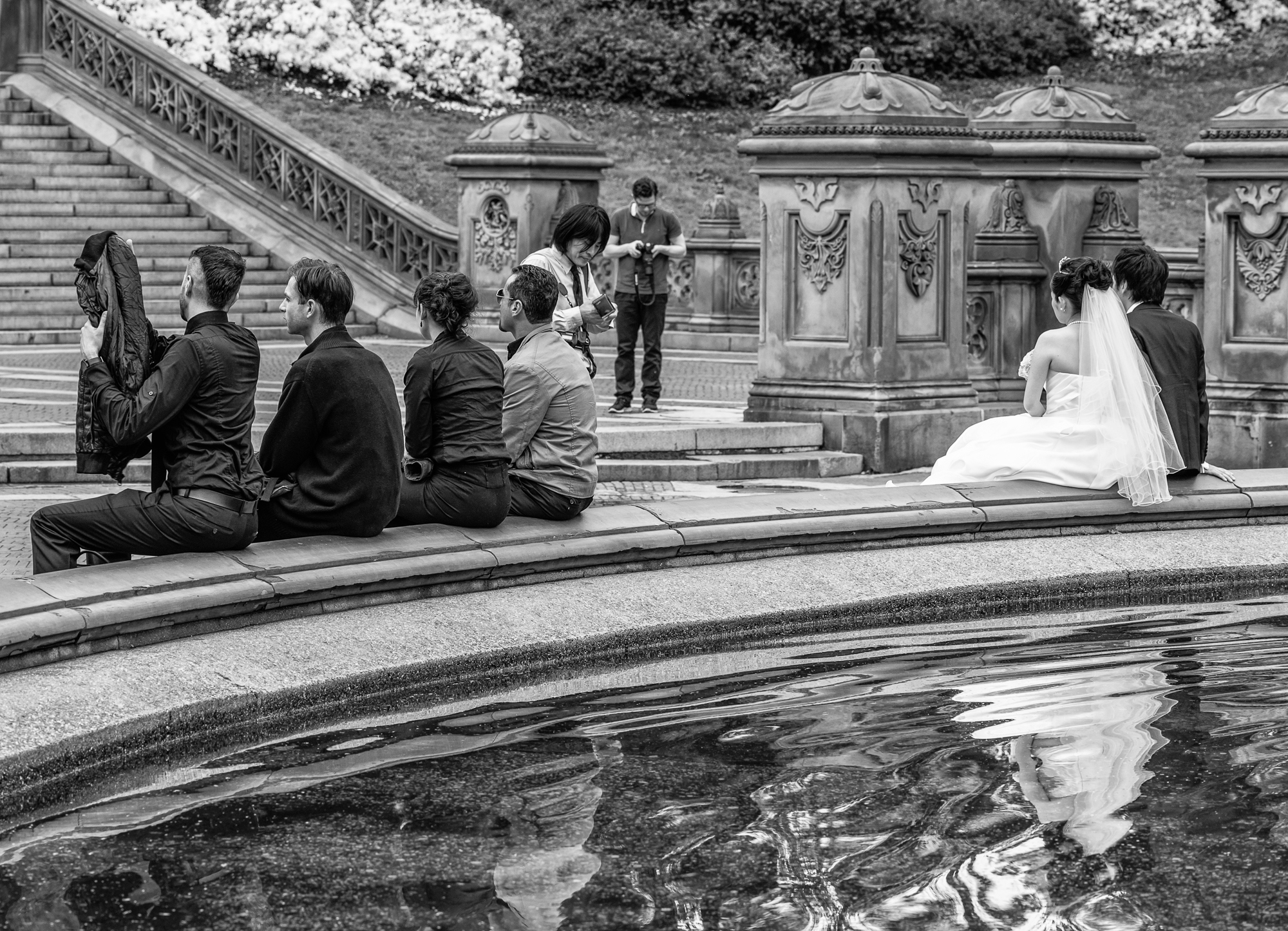 Weddings & Dress Rehearsals are frequent in Central Park