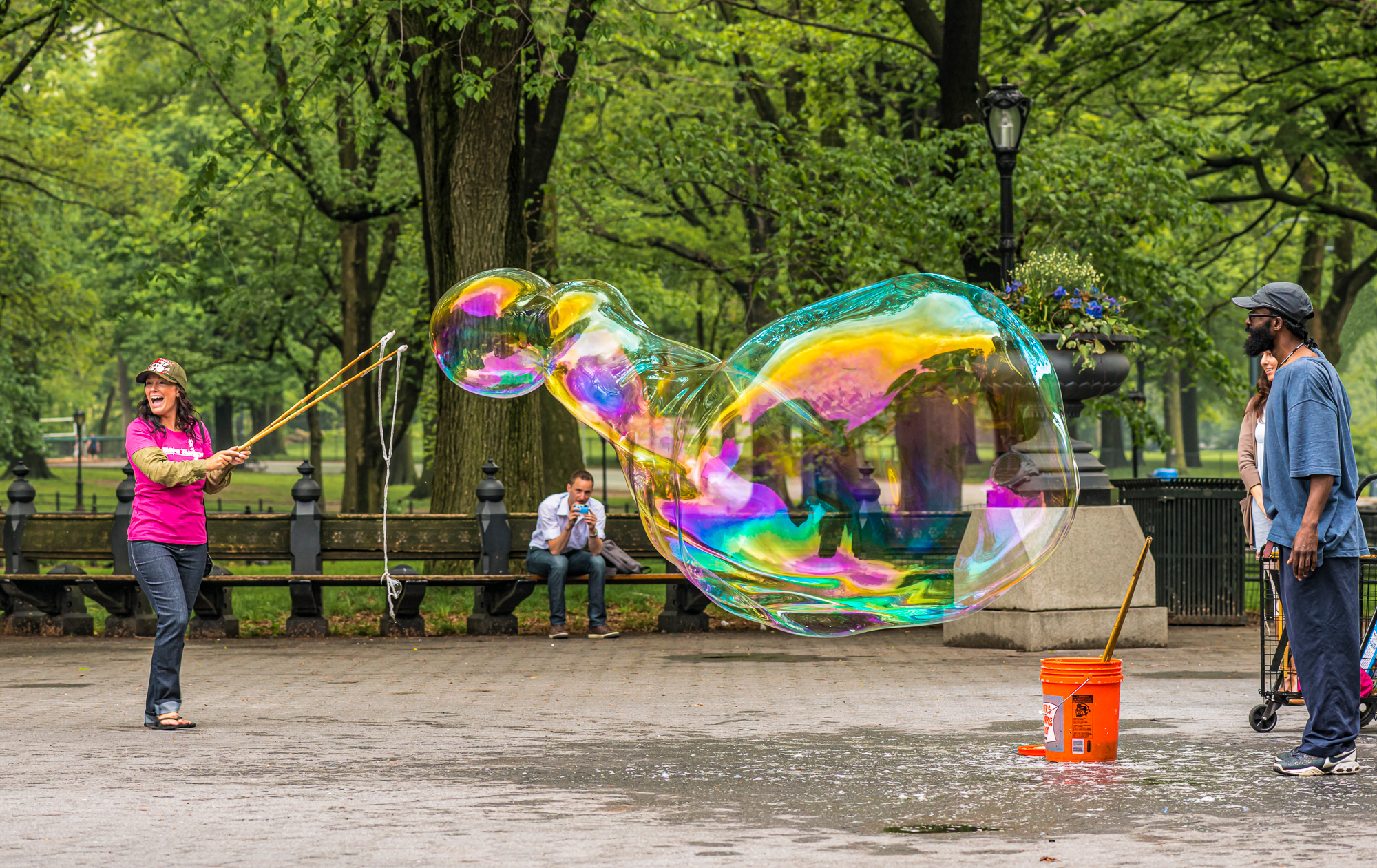 In Central Park, anything can & does happen