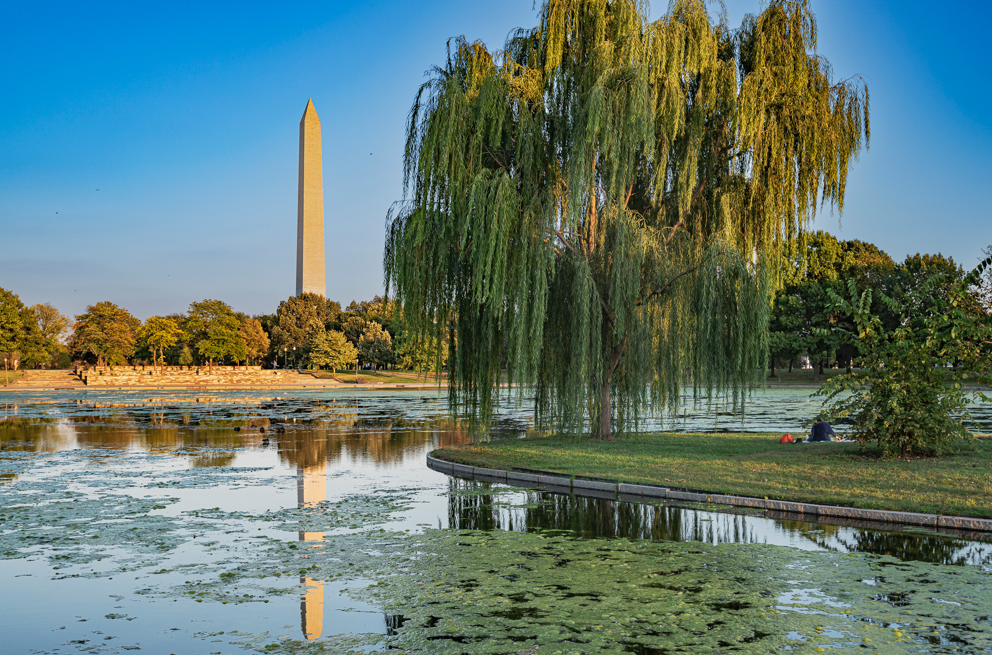 Washington Monument Park with Monument in background