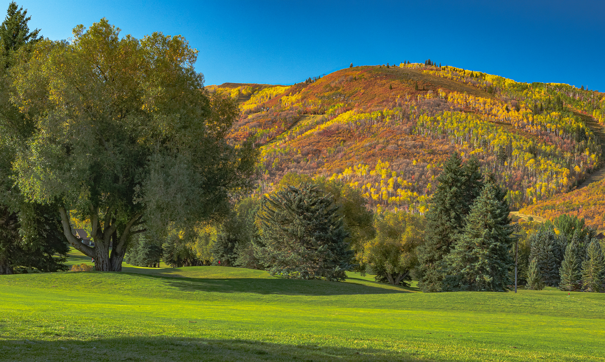 Park City Golf Course looking toward foothills in Autumn