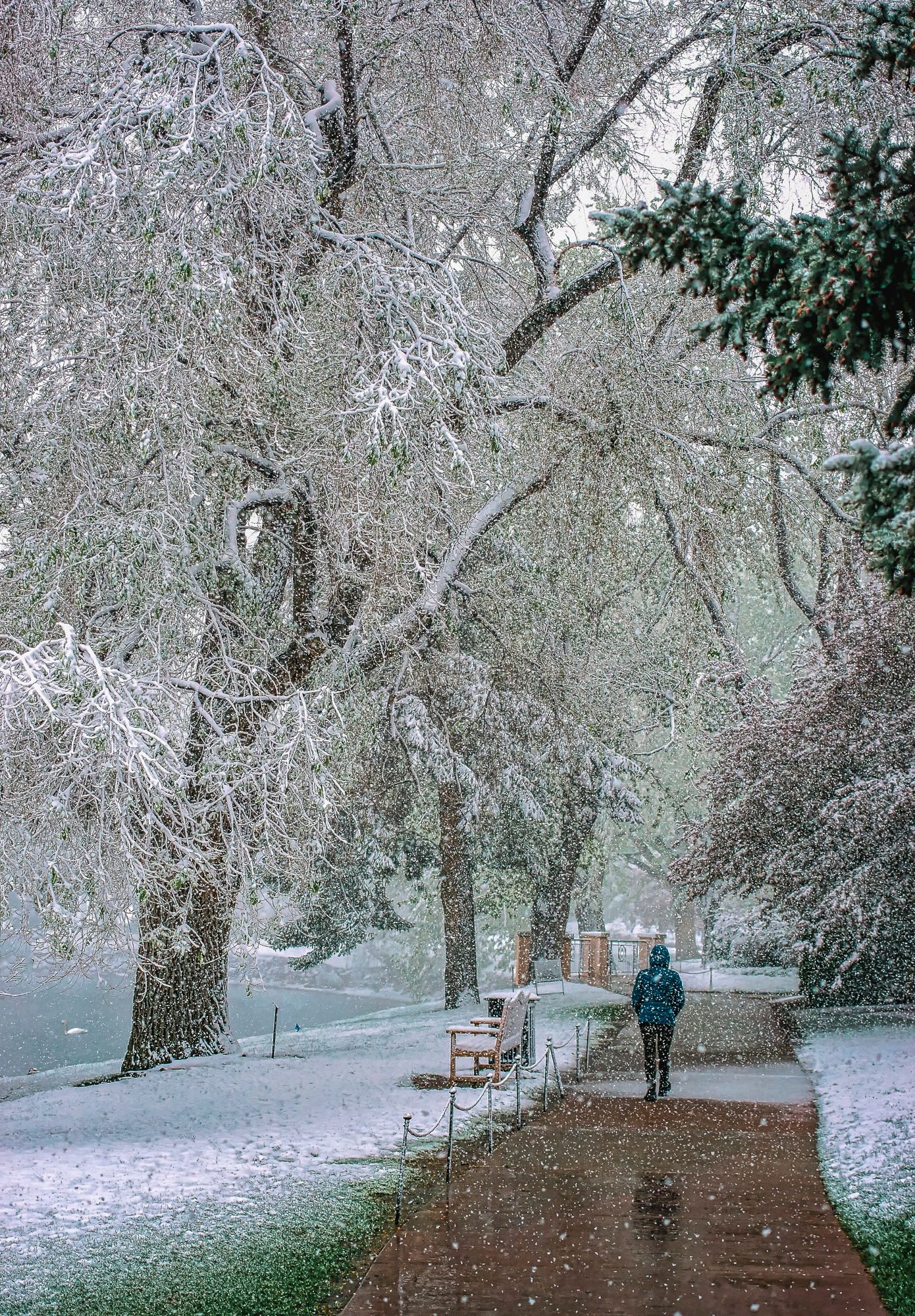 Mother’s Day Snow at the Broadmoor Hotel, Colorado Springs