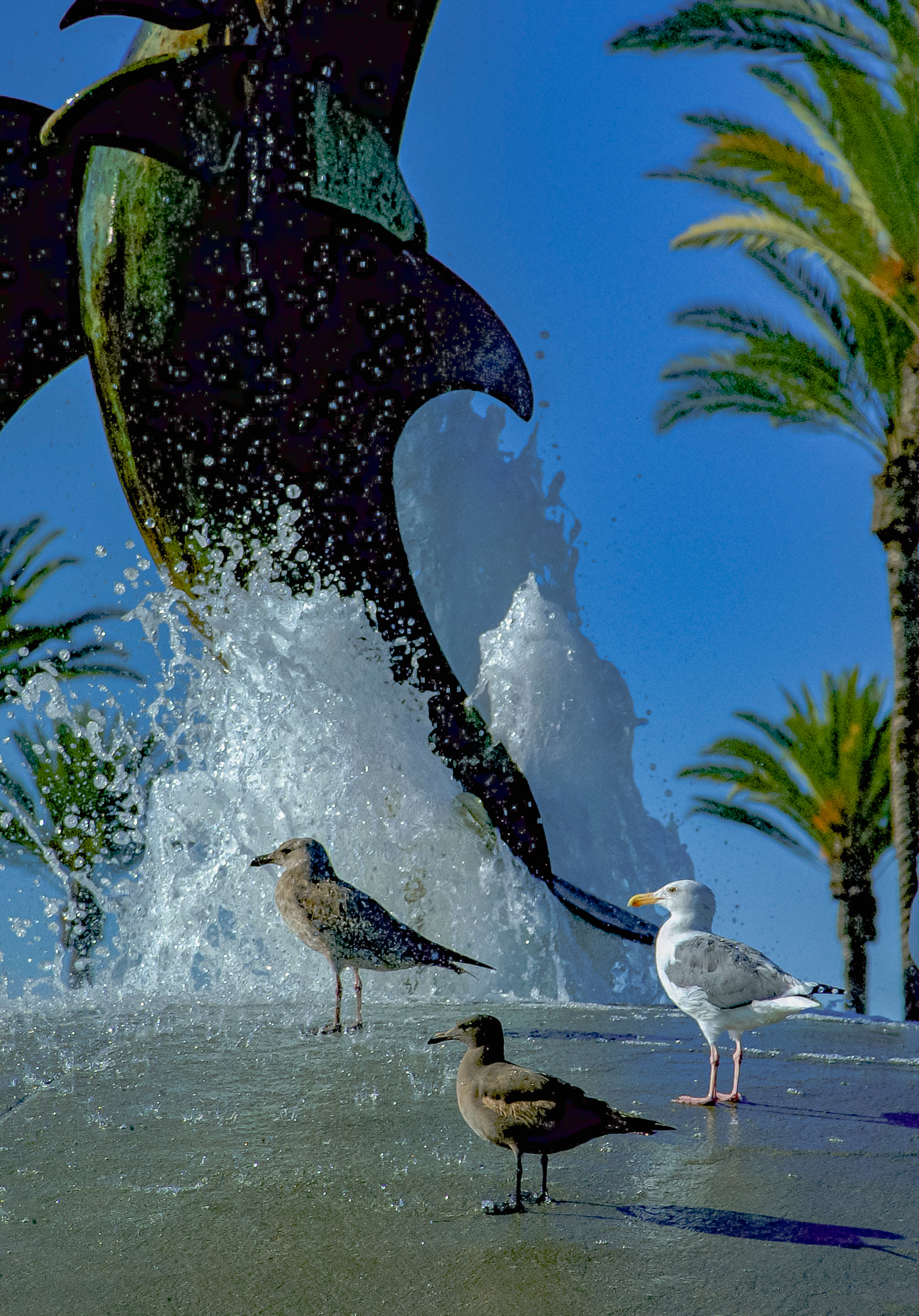 More proof that aquariums present great photo-ops!