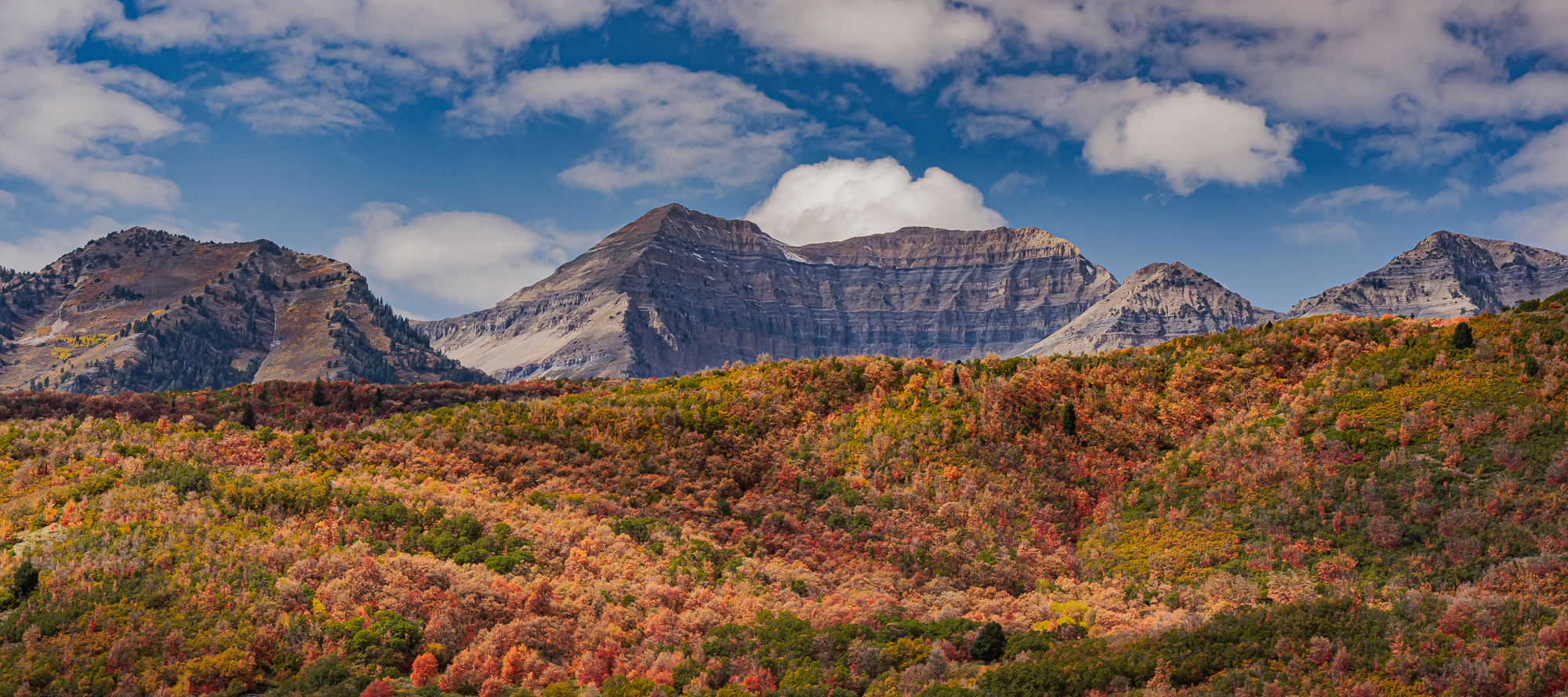 Fall color along Utah 189; Mt. Timpanogos in background