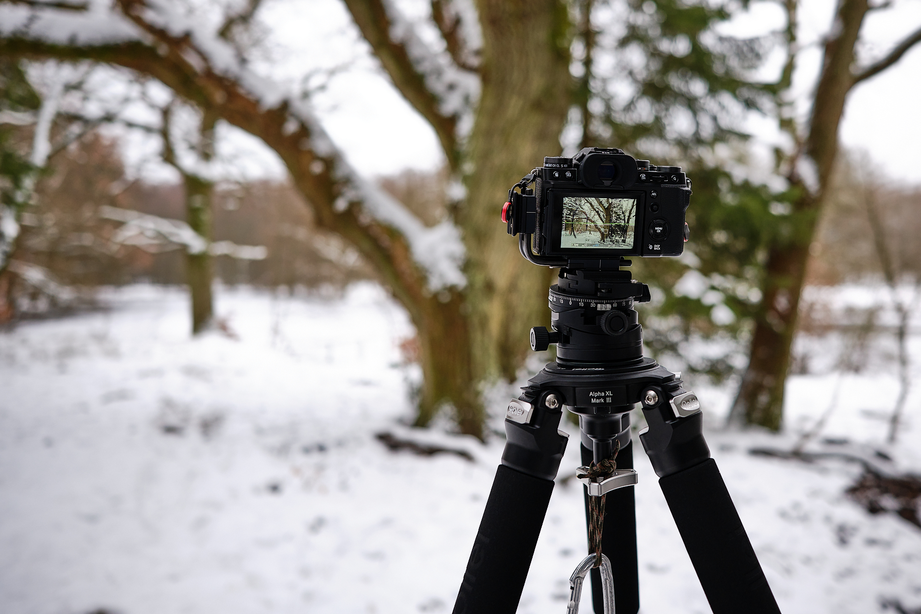 Fujifilm