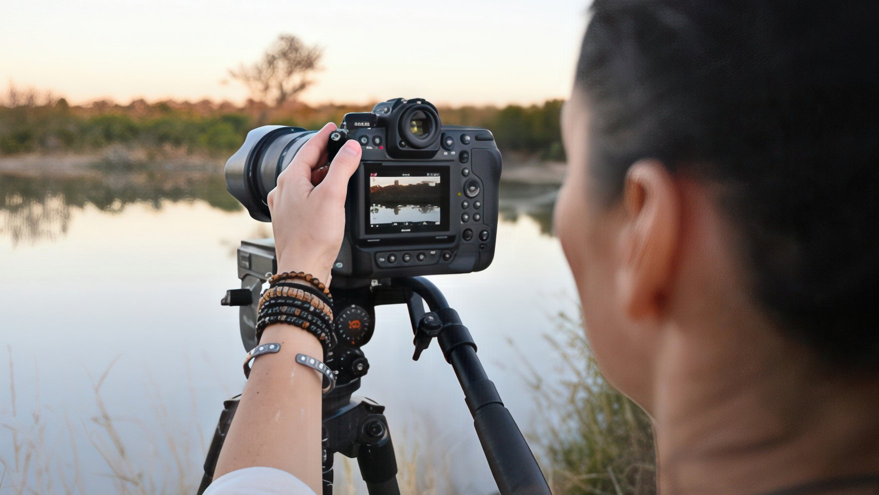 NIKON Z in the field